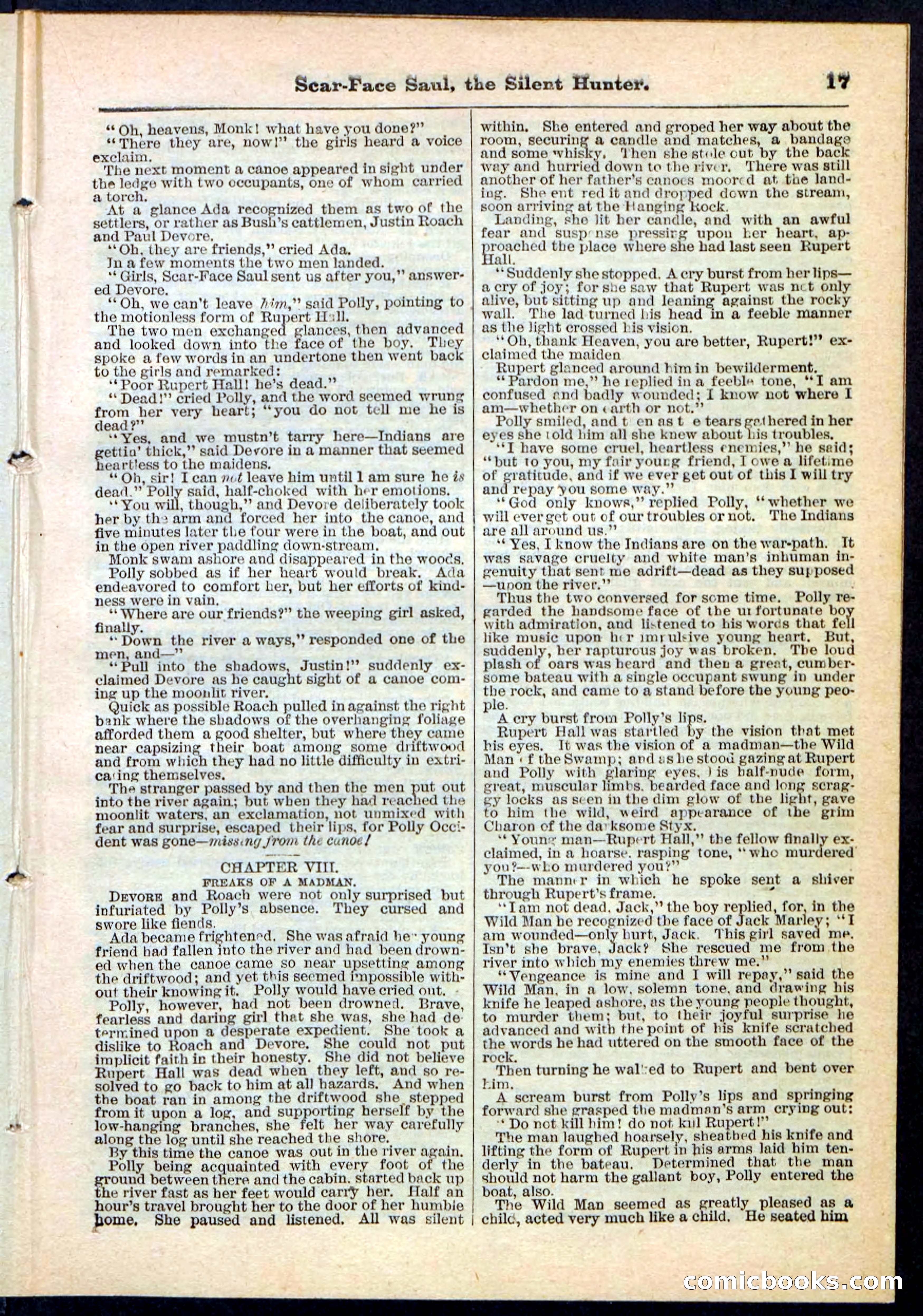 Beadle's Pocket Library No. 113 — page 17 of 32
