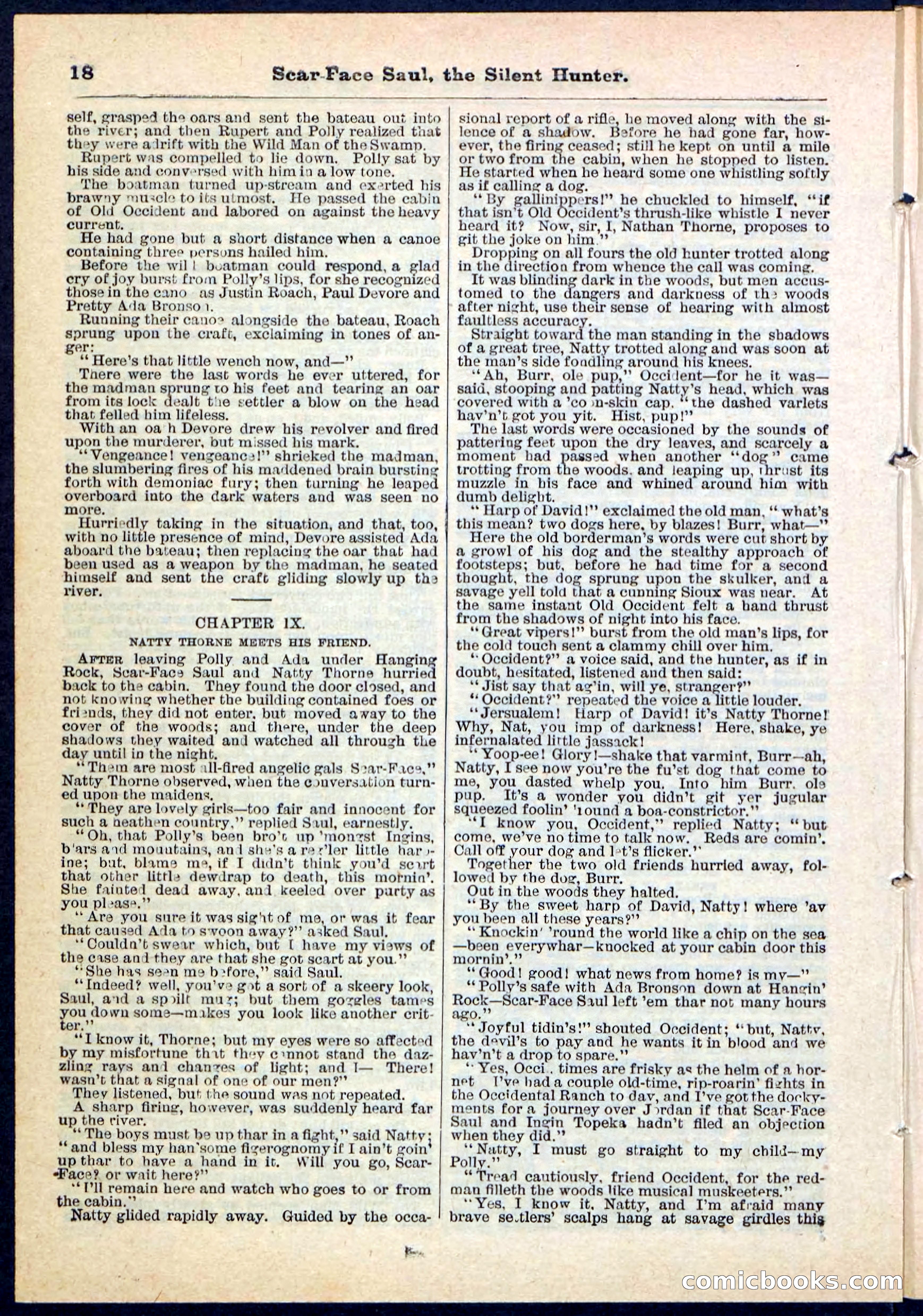 Beadle's Pocket Library No. 113 — page 18 of 32