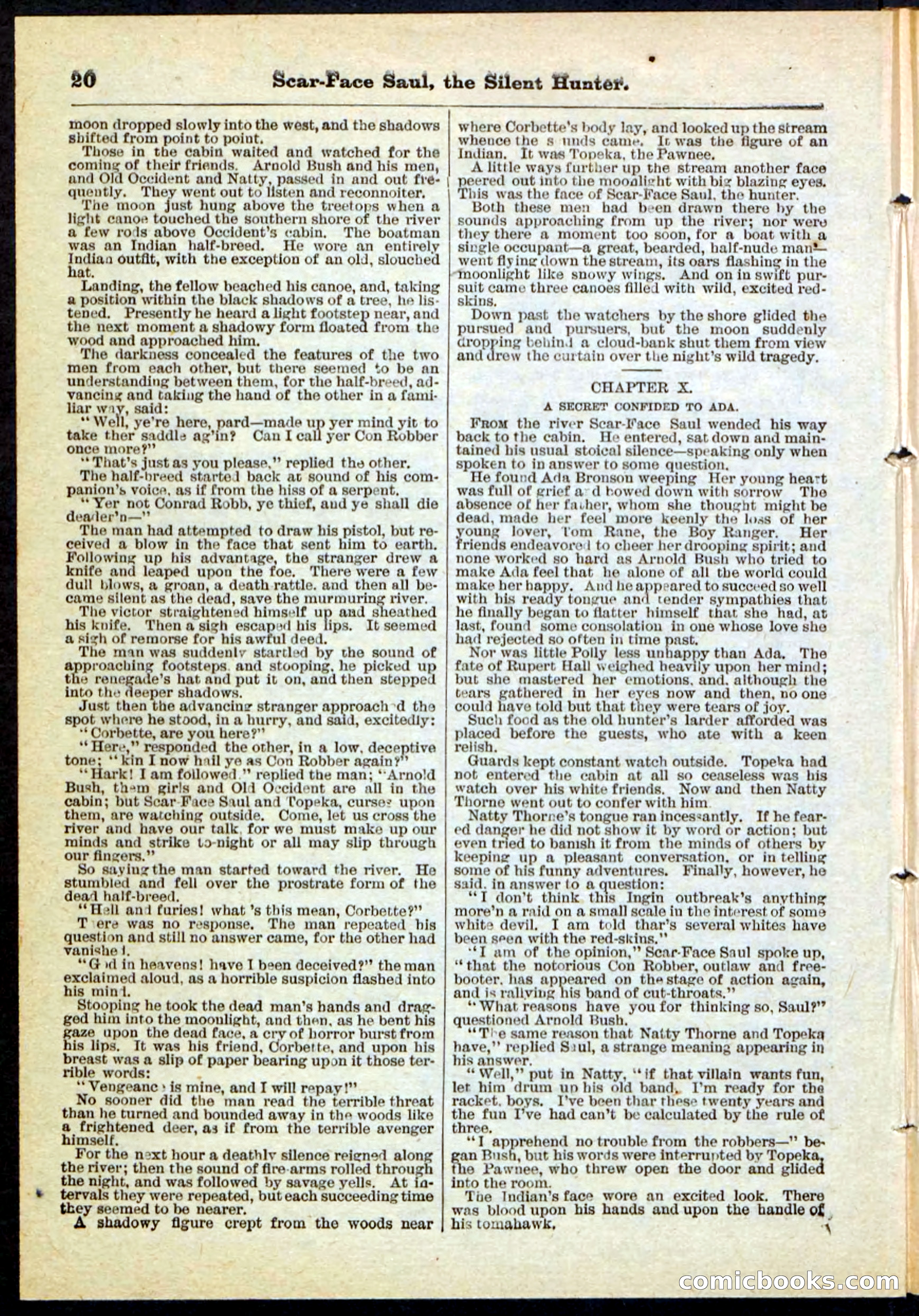 Beadle's Pocket Library No. 113 — page 20 of 32