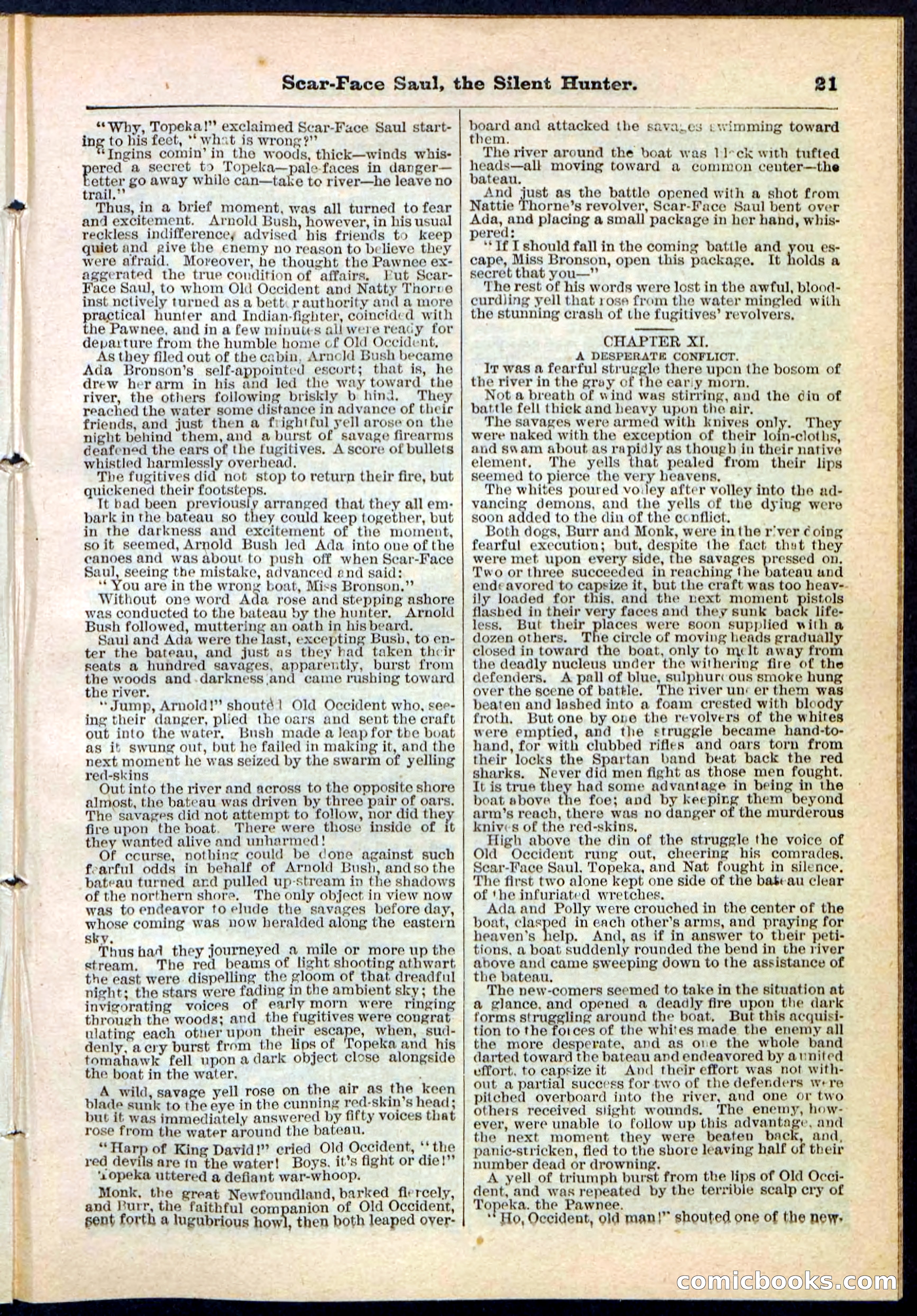 Beadle's Pocket Library No. 113 — page 21 of 32