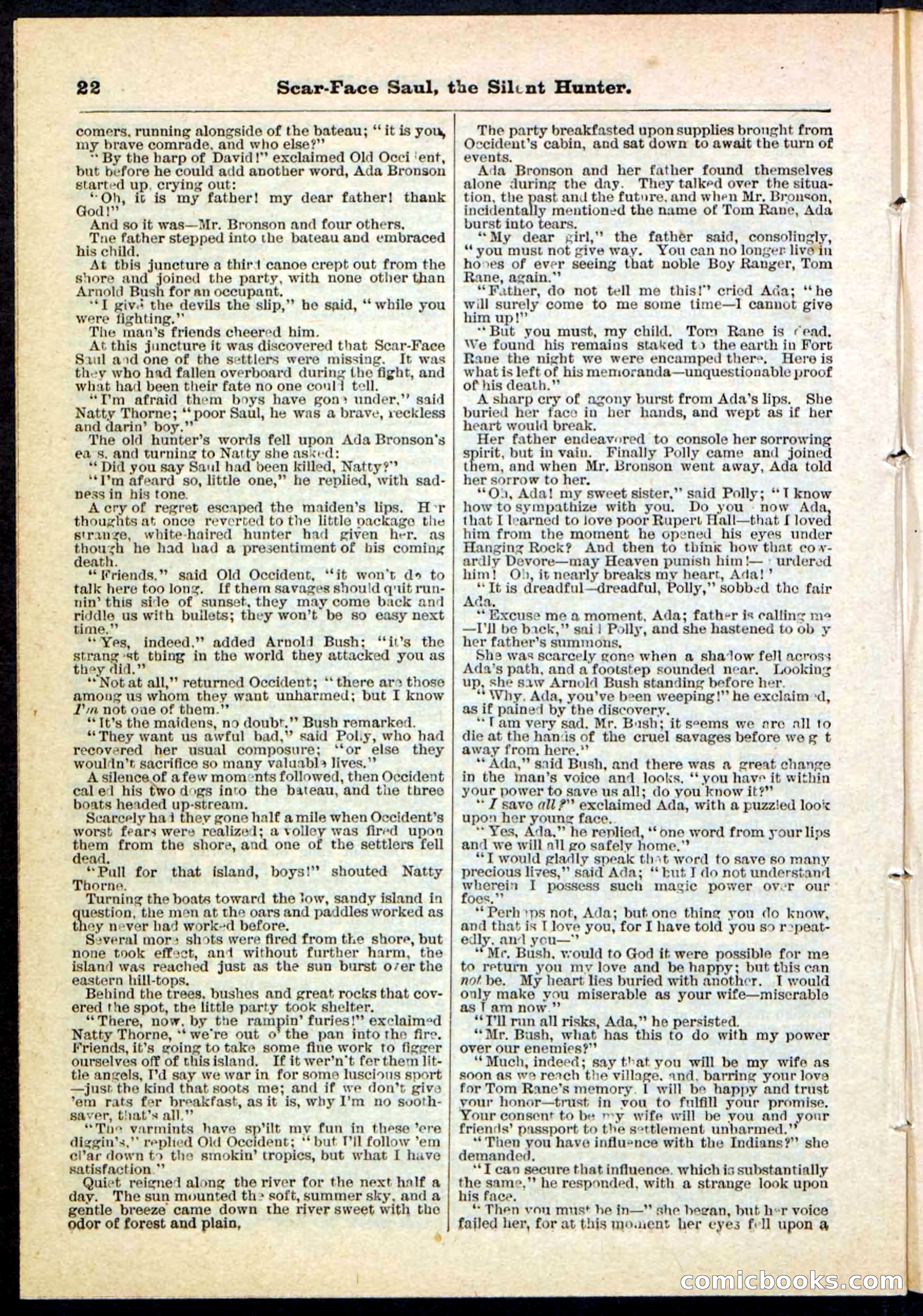 Beadle's Pocket Library No. 113 — page 22 of 32