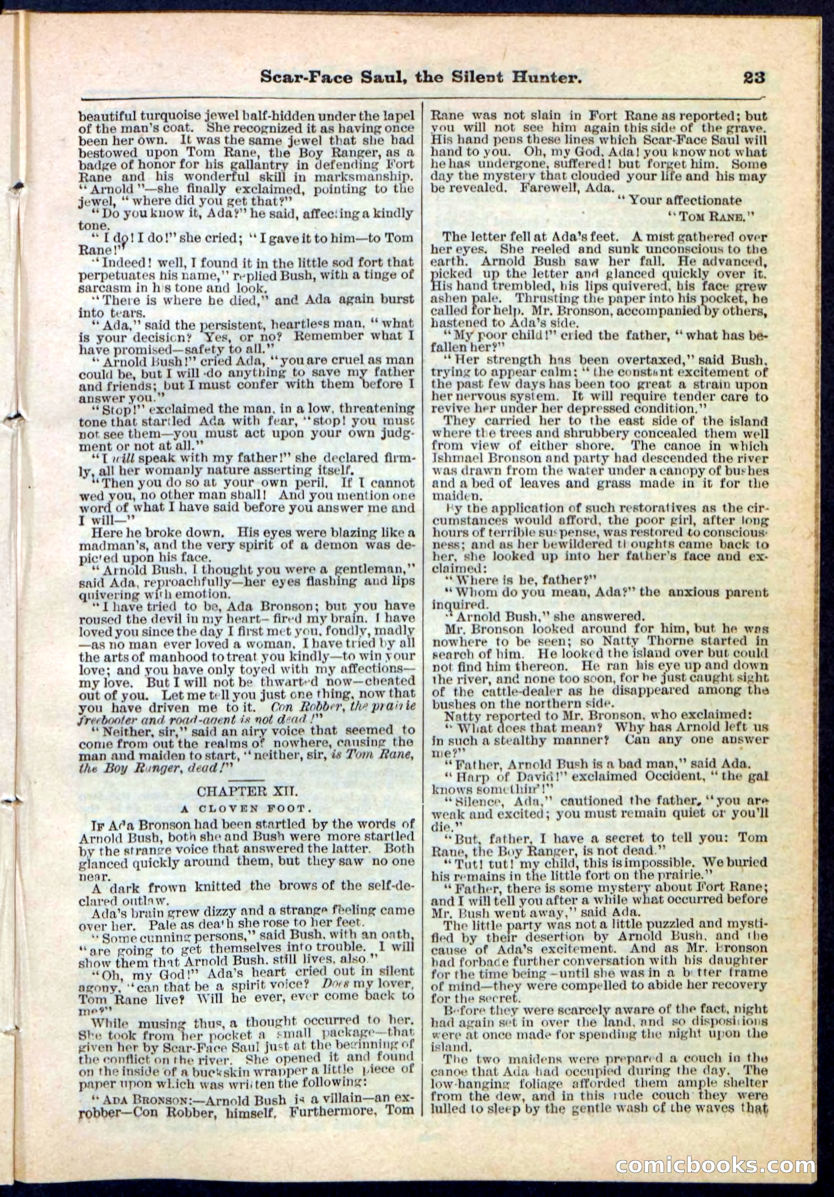 Beadle's Pocket Library No. 113 — page 23 of 32
