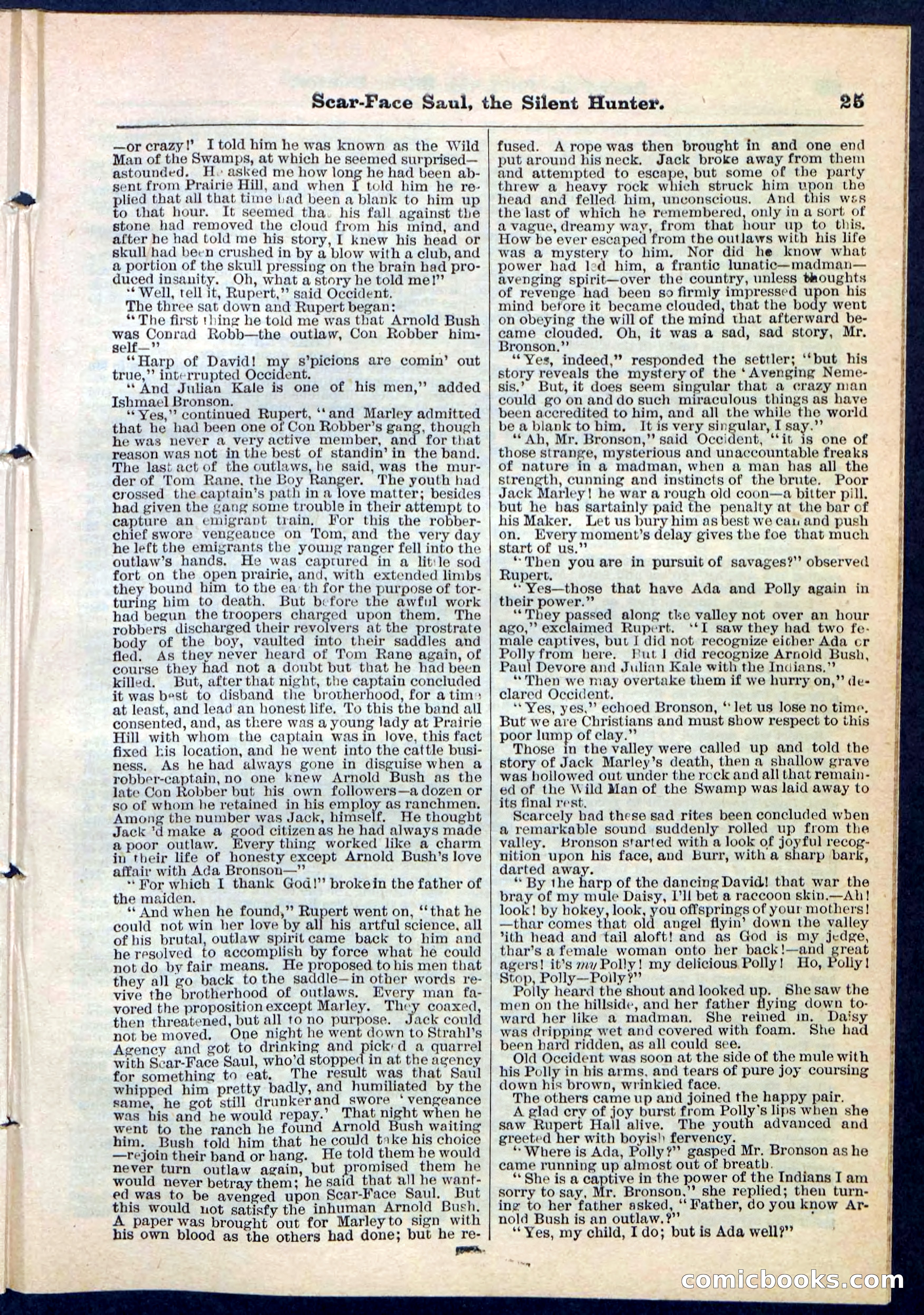 Beadle's Pocket Library No. 113 — page 25 of 32