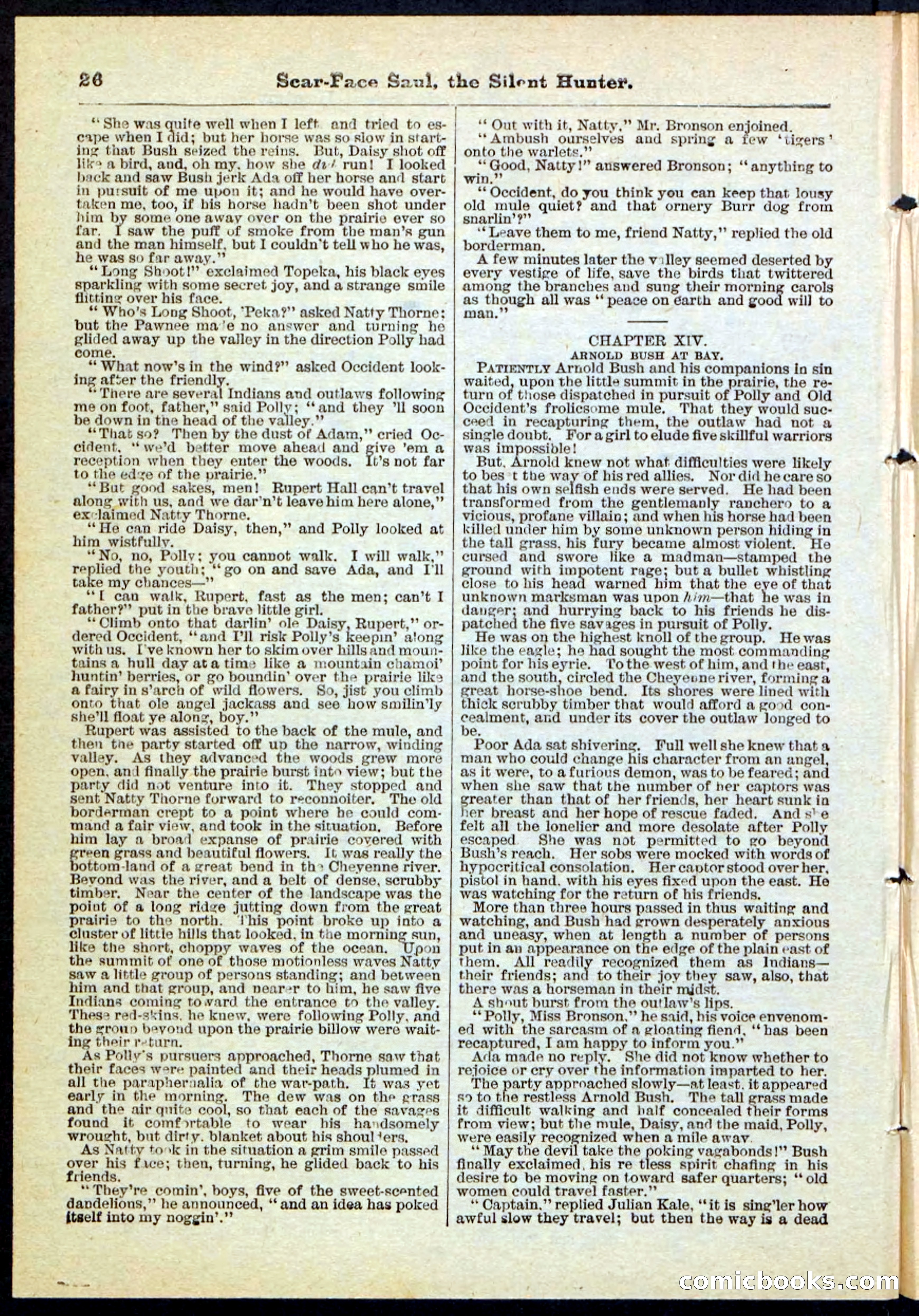 Beadle's Pocket Library No. 113 — page 26 of 32