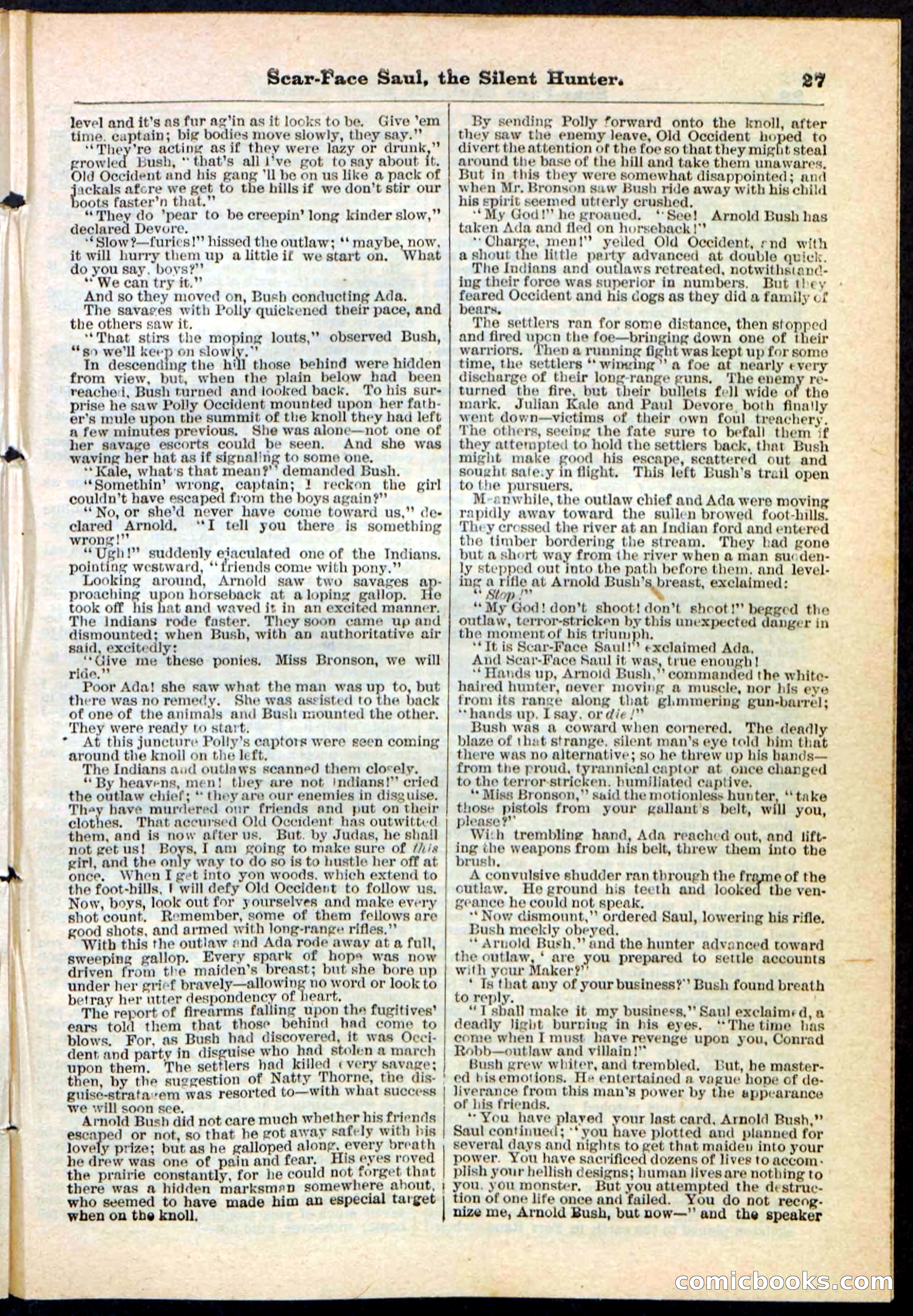 Beadle's Pocket Library No. 113 — page 27 of 32