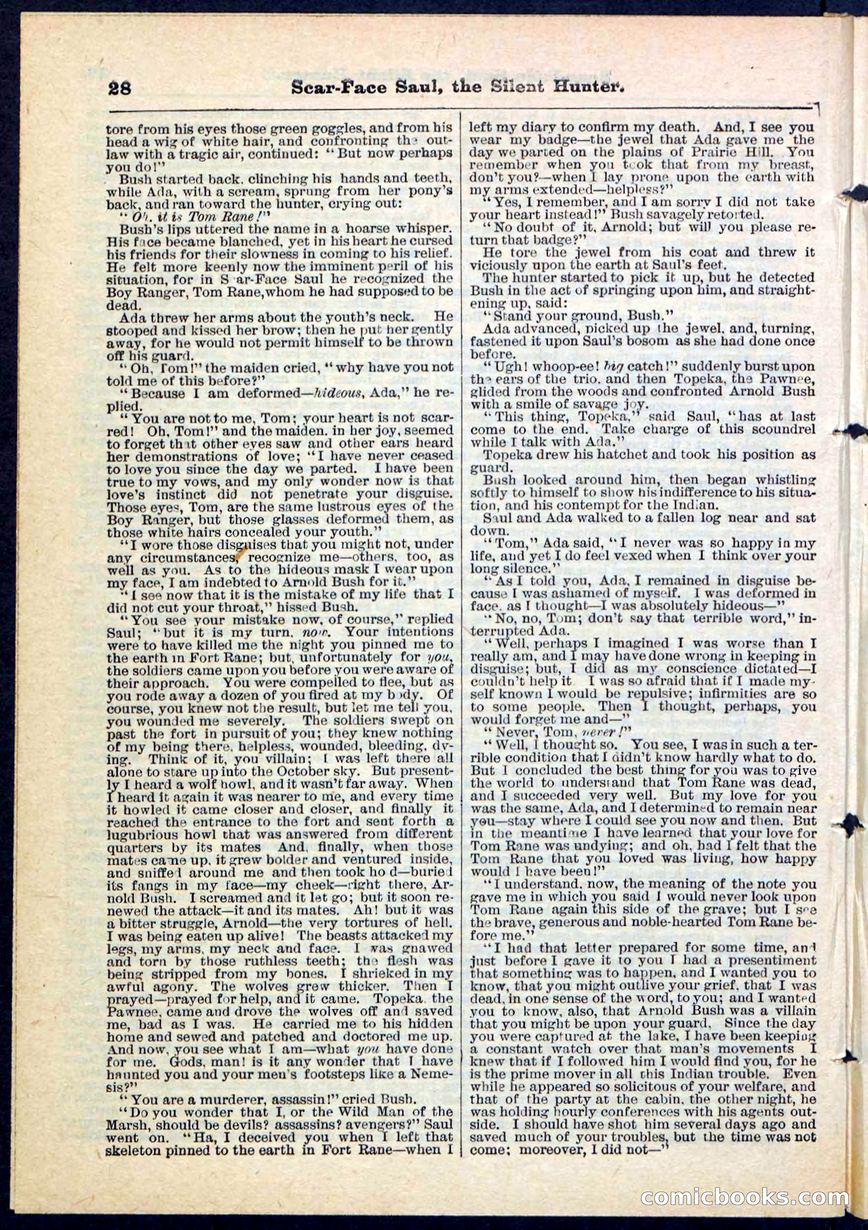 Beadle's Pocket Library No. 113 — page 28 of 32