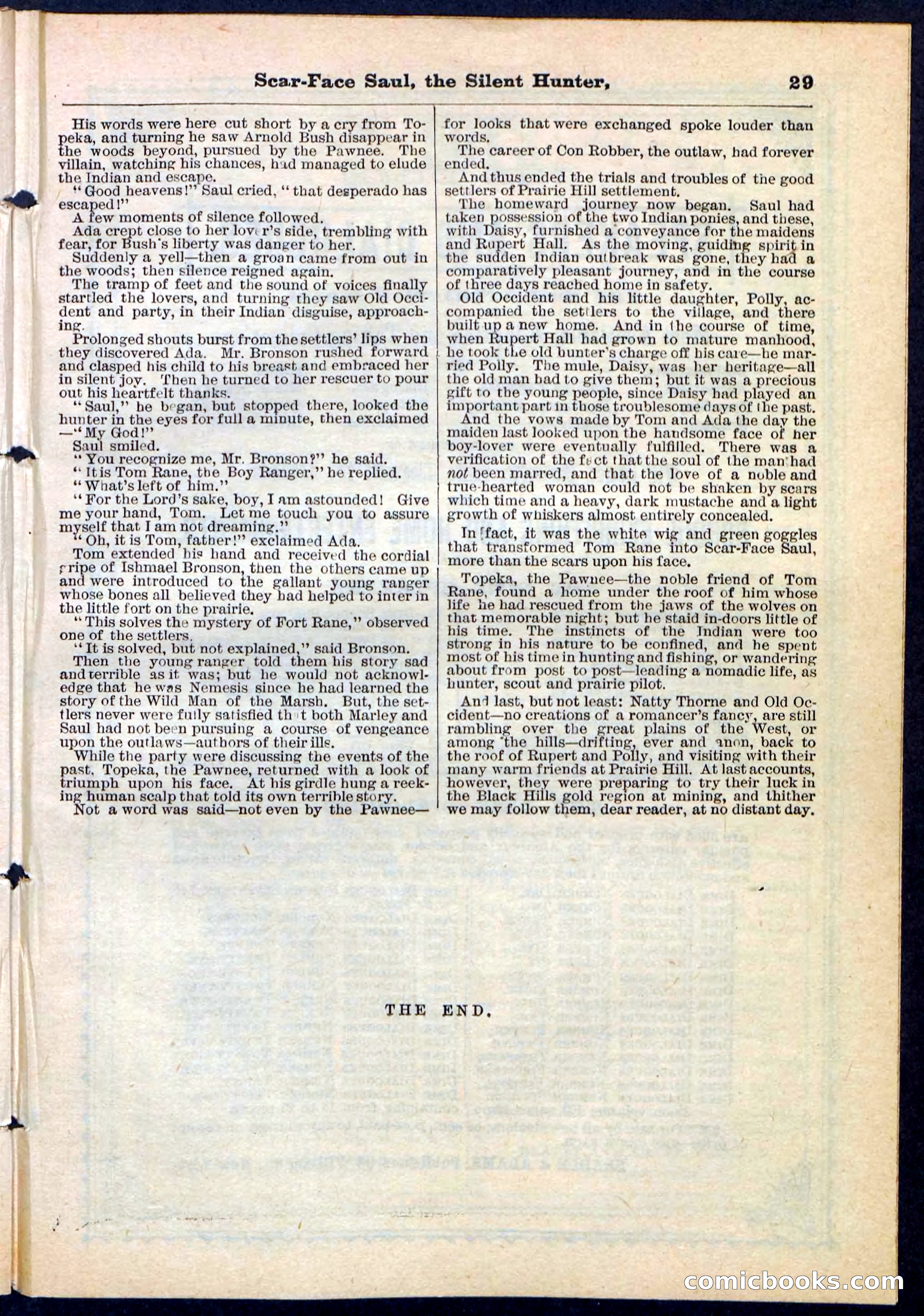 Beadle's Pocket Library No. 113 — page 29 of 32