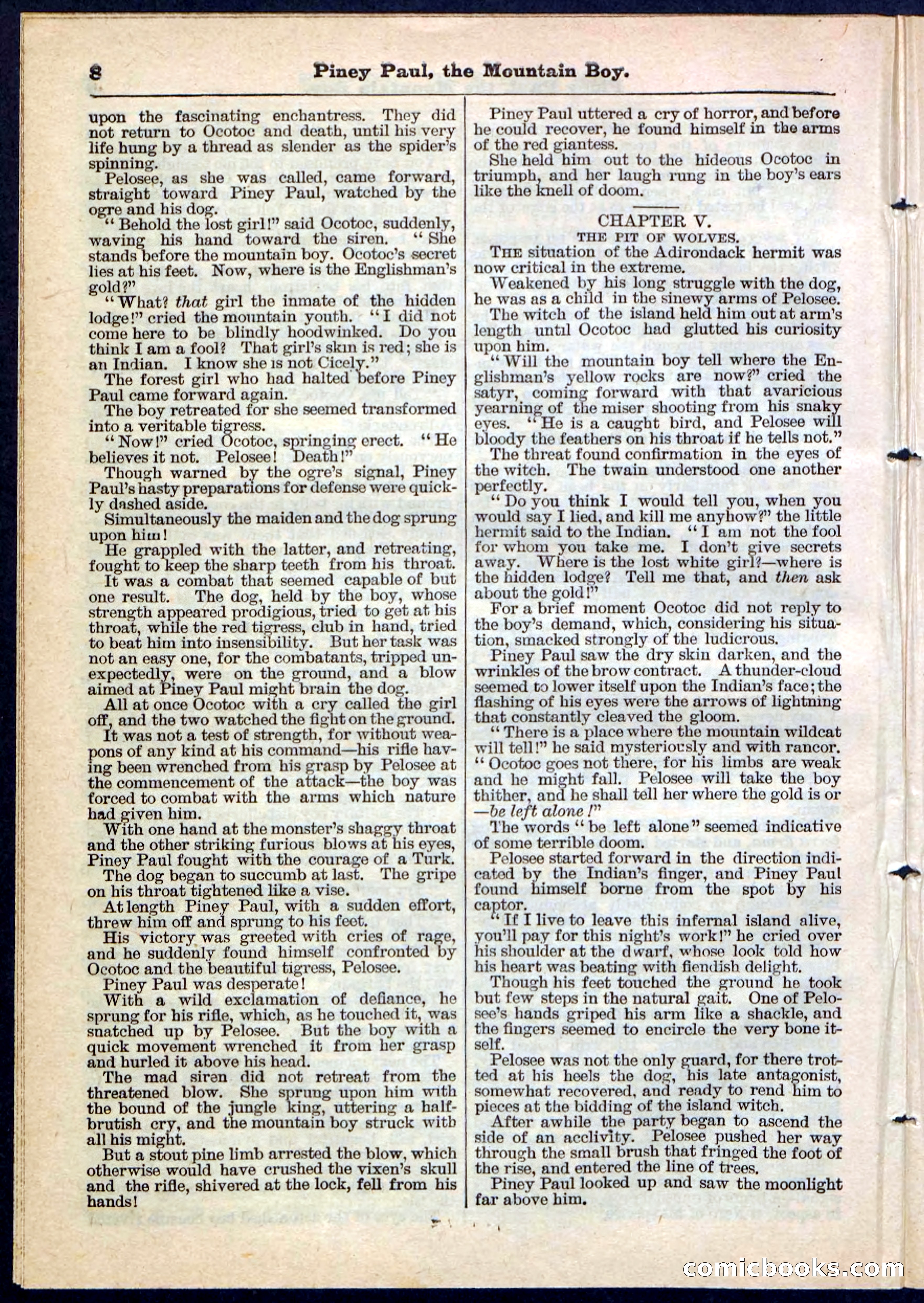 Beadle's Pocket Library No. 114 — page 8 of 32