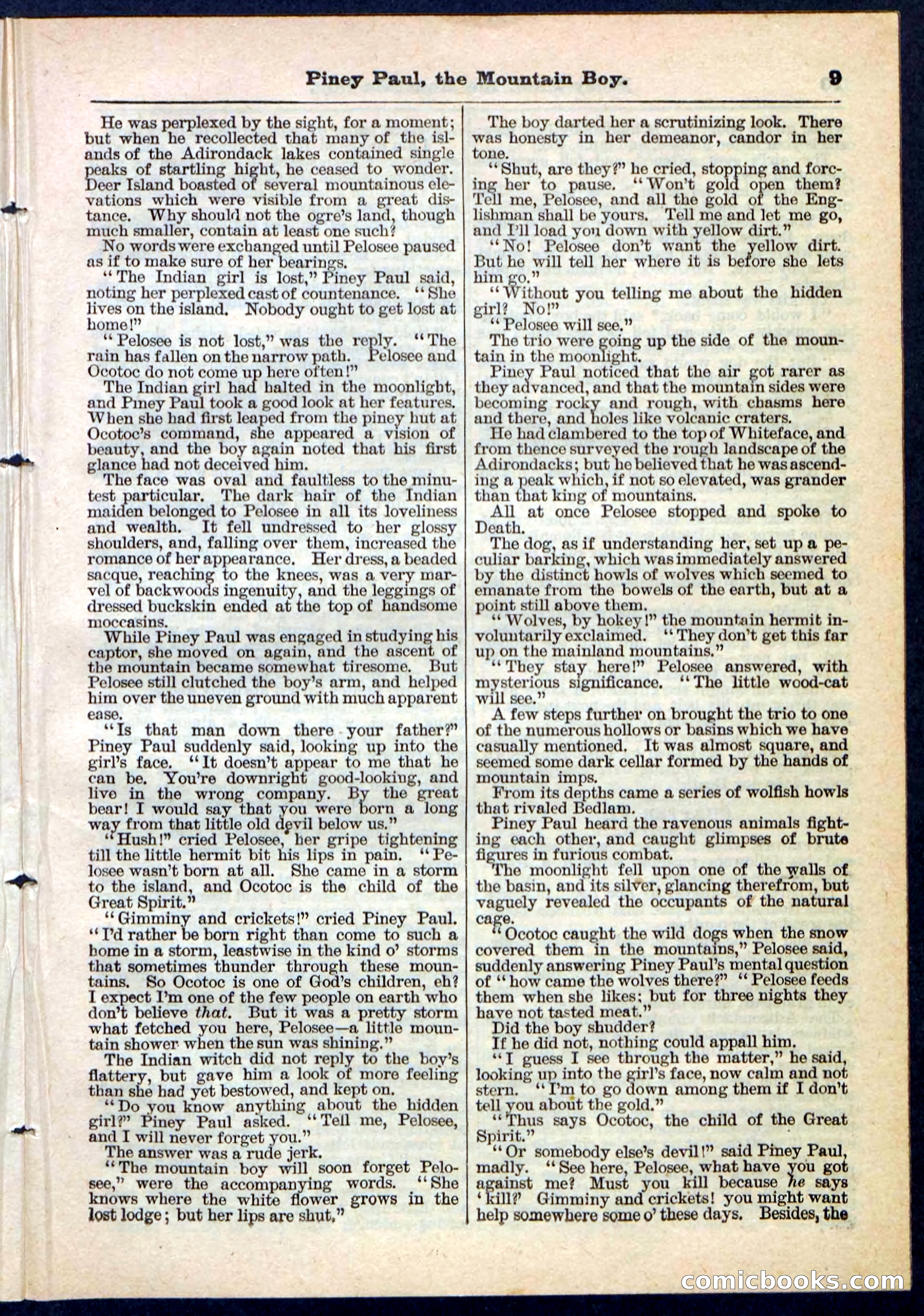 Beadle's Pocket Library No. 114 — page 9 of 32