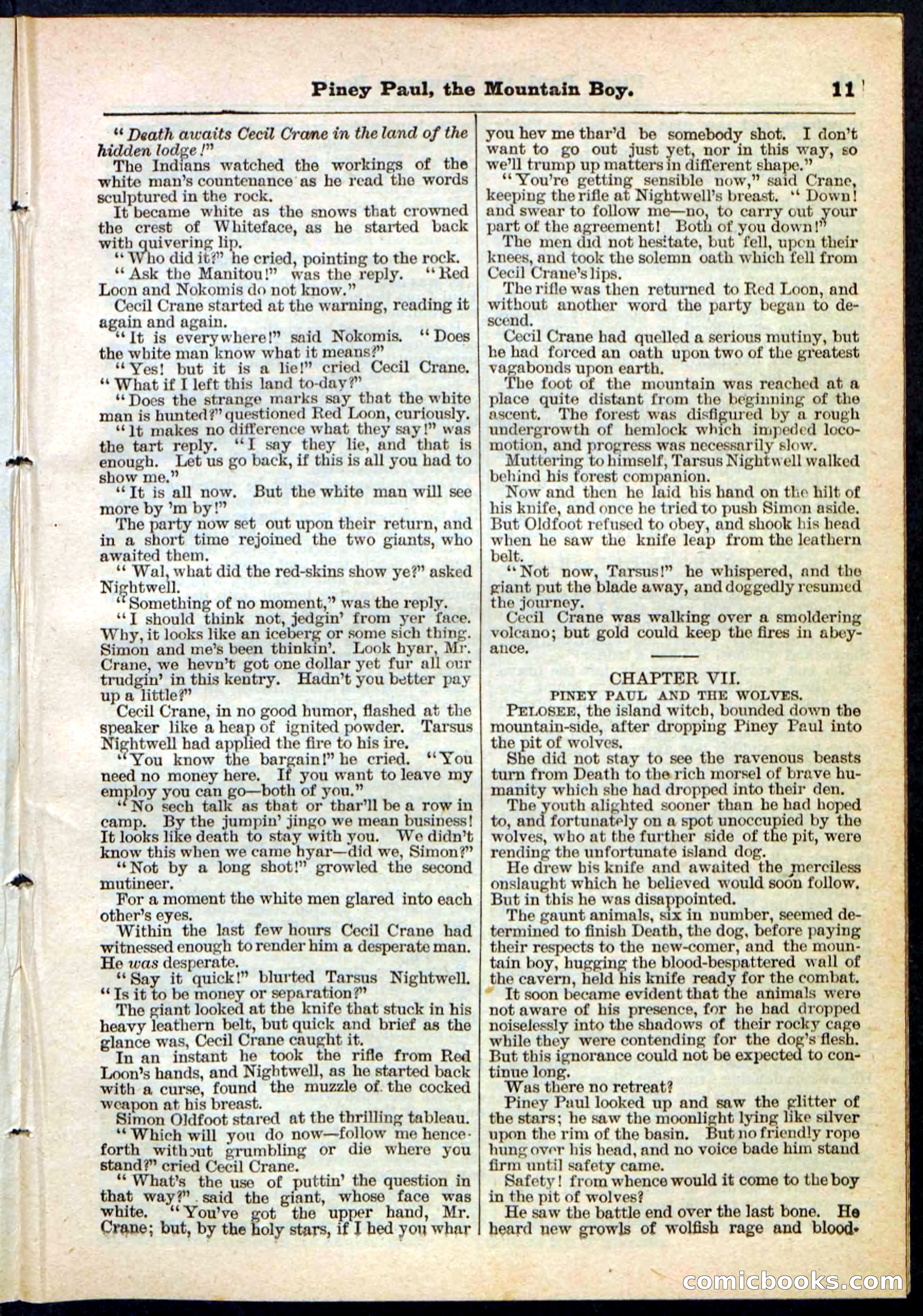 Beadle's Pocket Library No. 114 — page 11 of 32