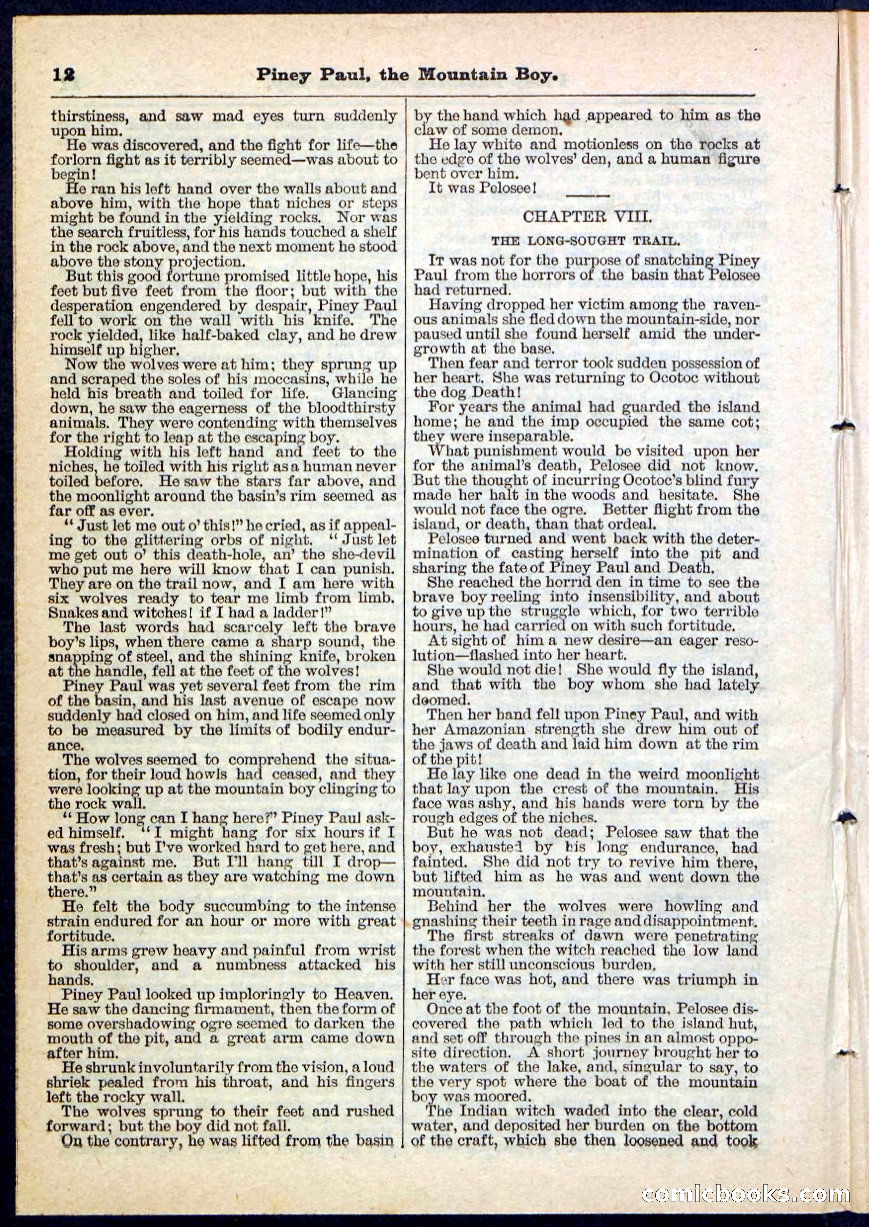 Beadle's Pocket Library No. 114 — page 12 of 32