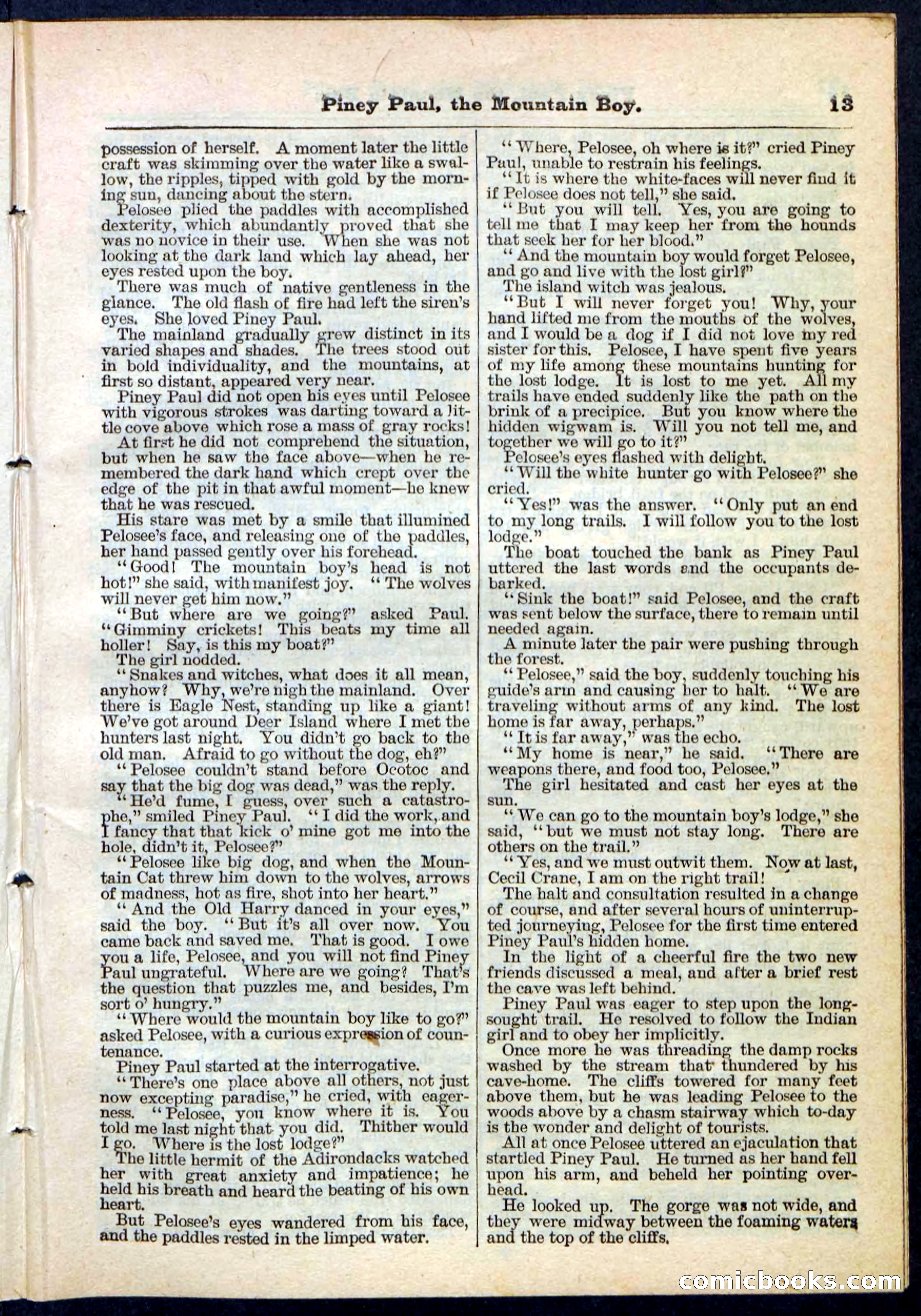 Beadle's Pocket Library No. 114 — page 13 of 32