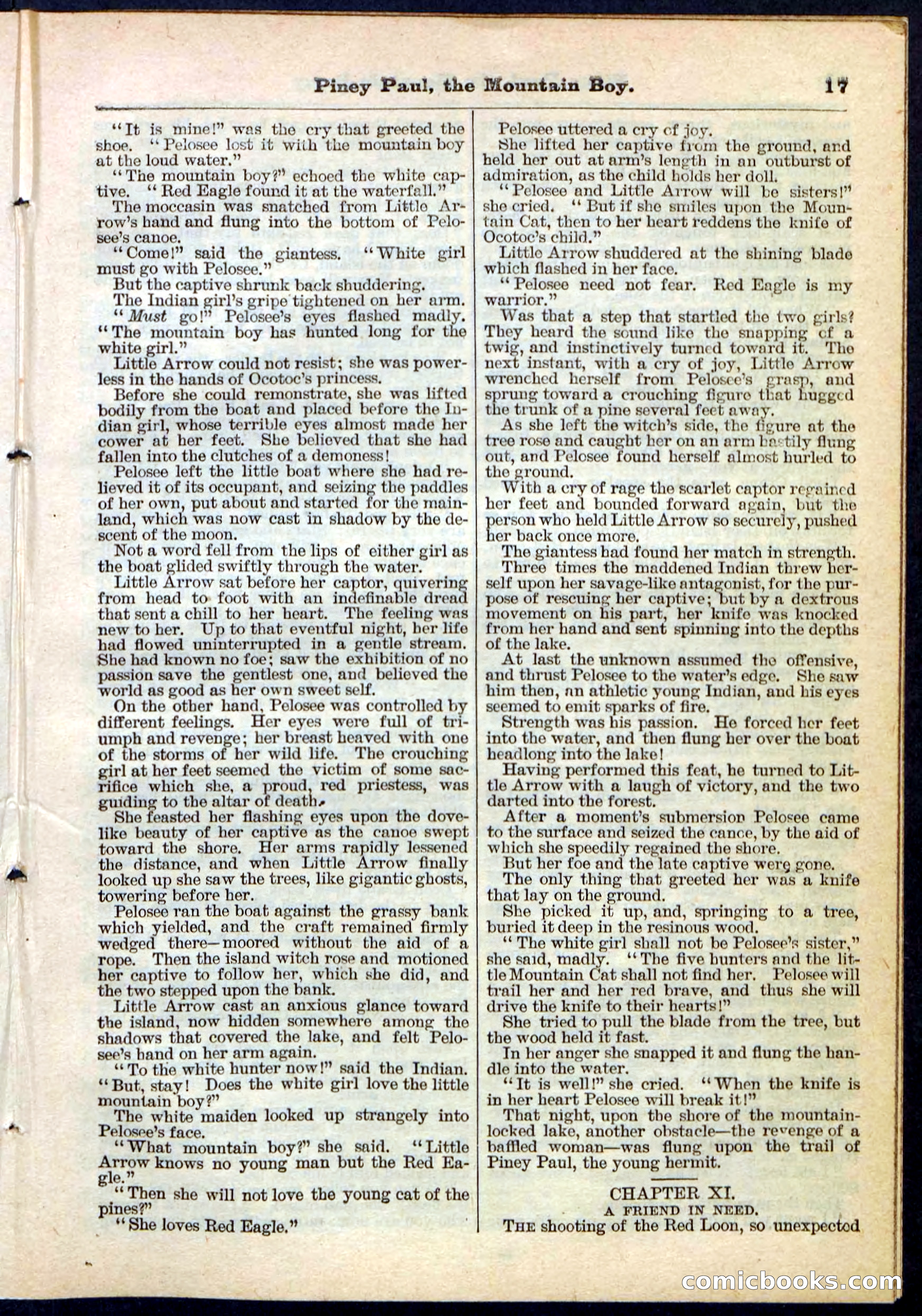 Beadle's Pocket Library No. 114 — page 17 of 32