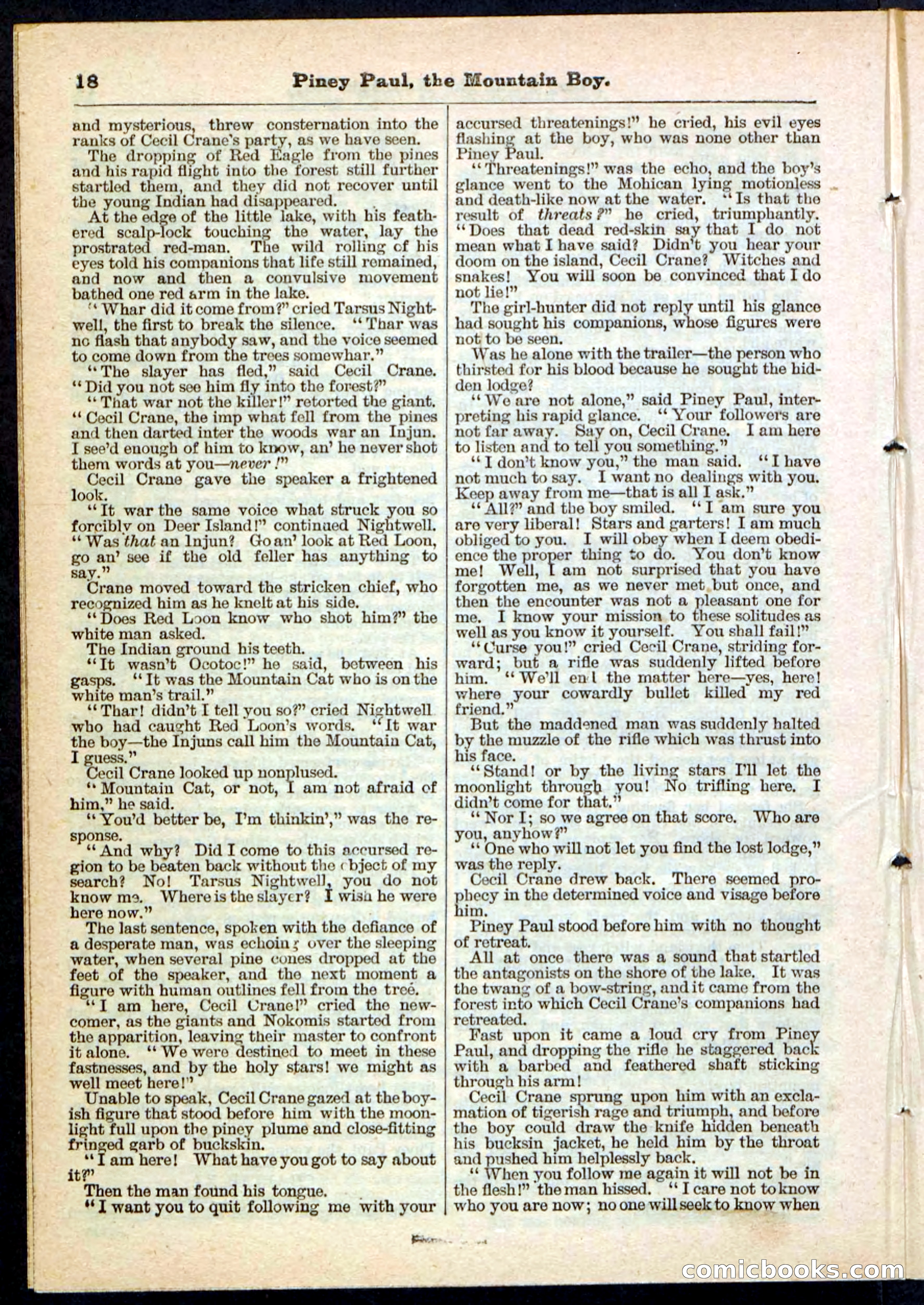 Beadle's Pocket Library No. 114 — page 18 of 32