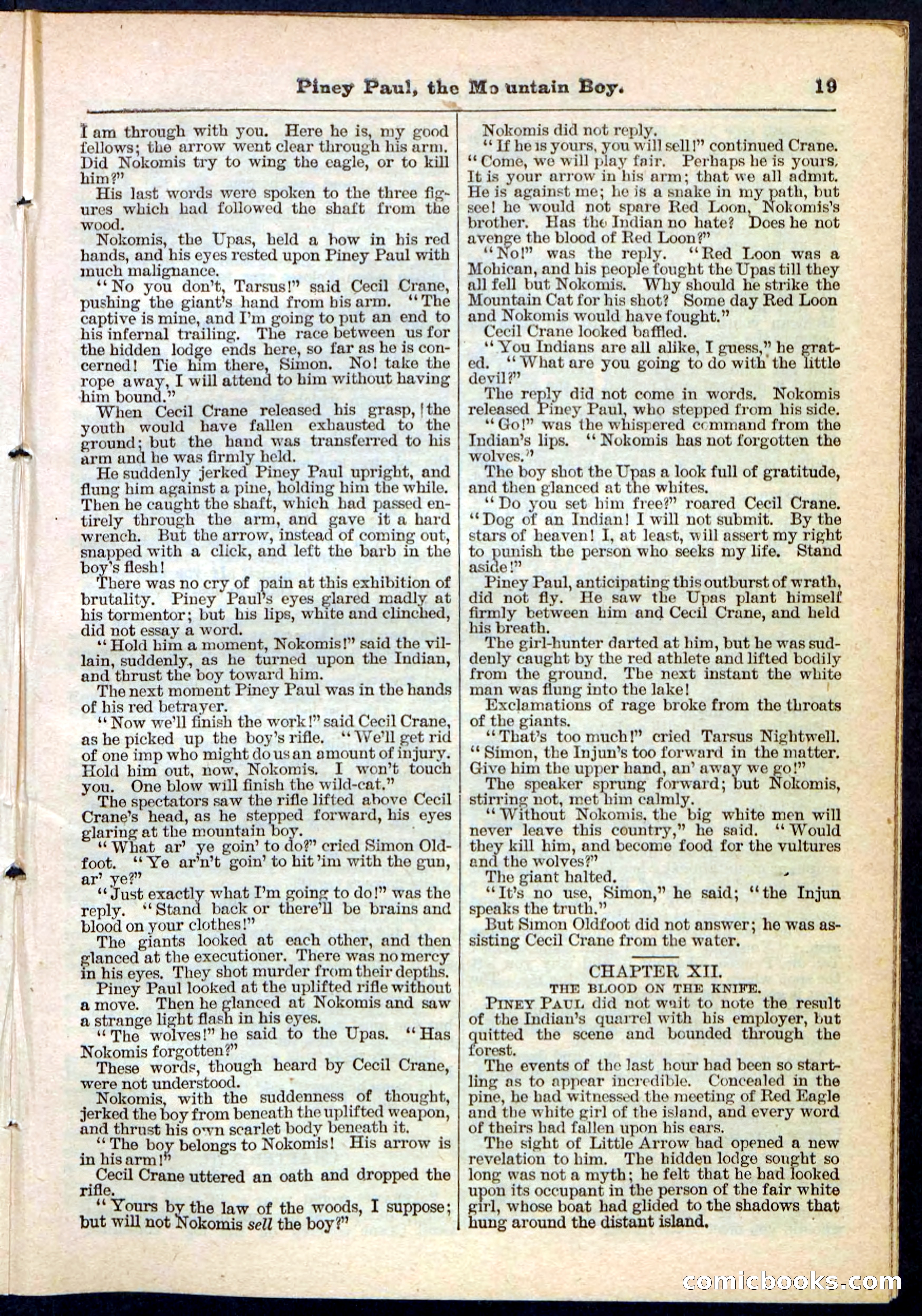 Beadle's Pocket Library No. 114 — page 19 of 32