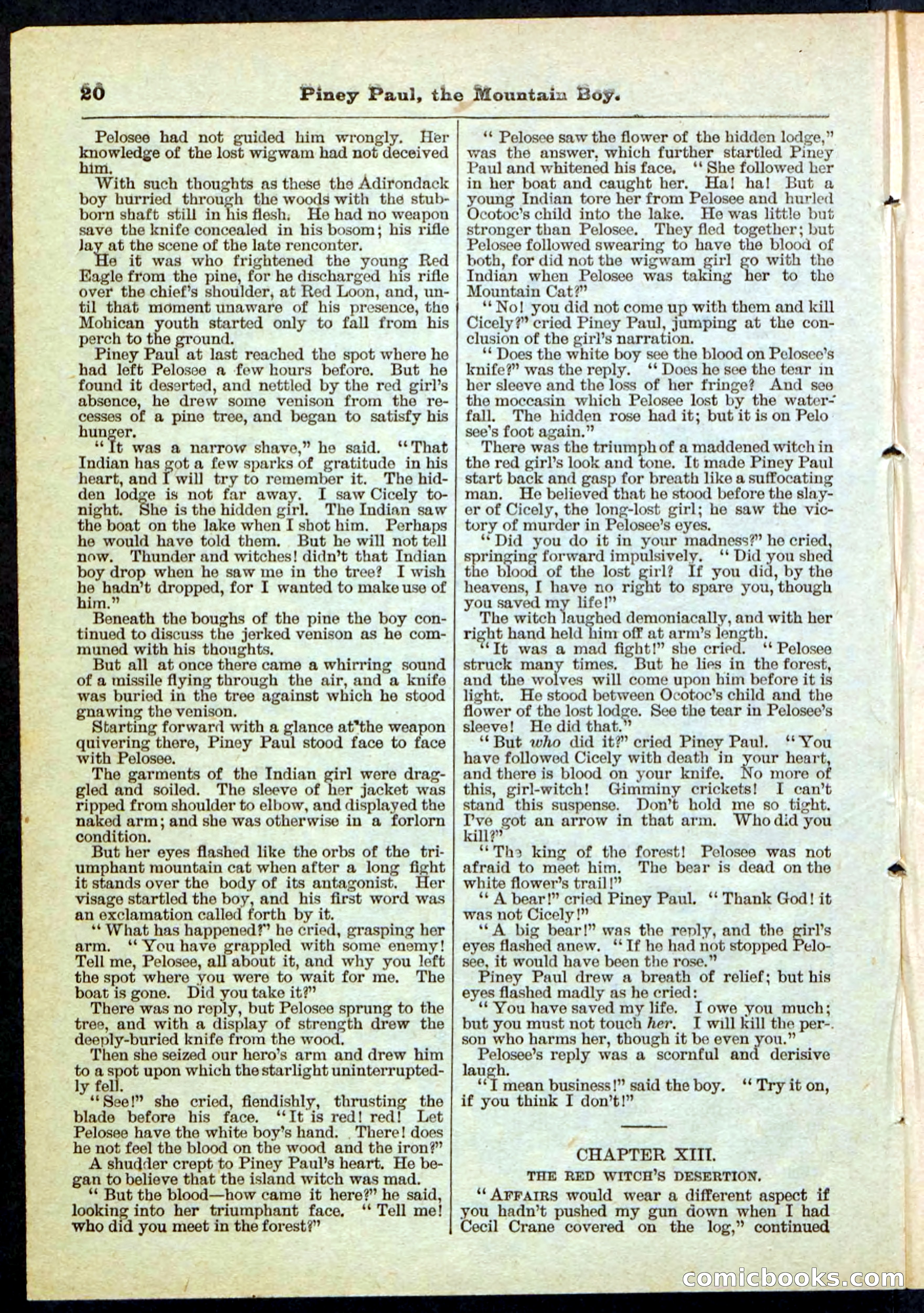 Beadle's Pocket Library No. 114 — page 20 of 32