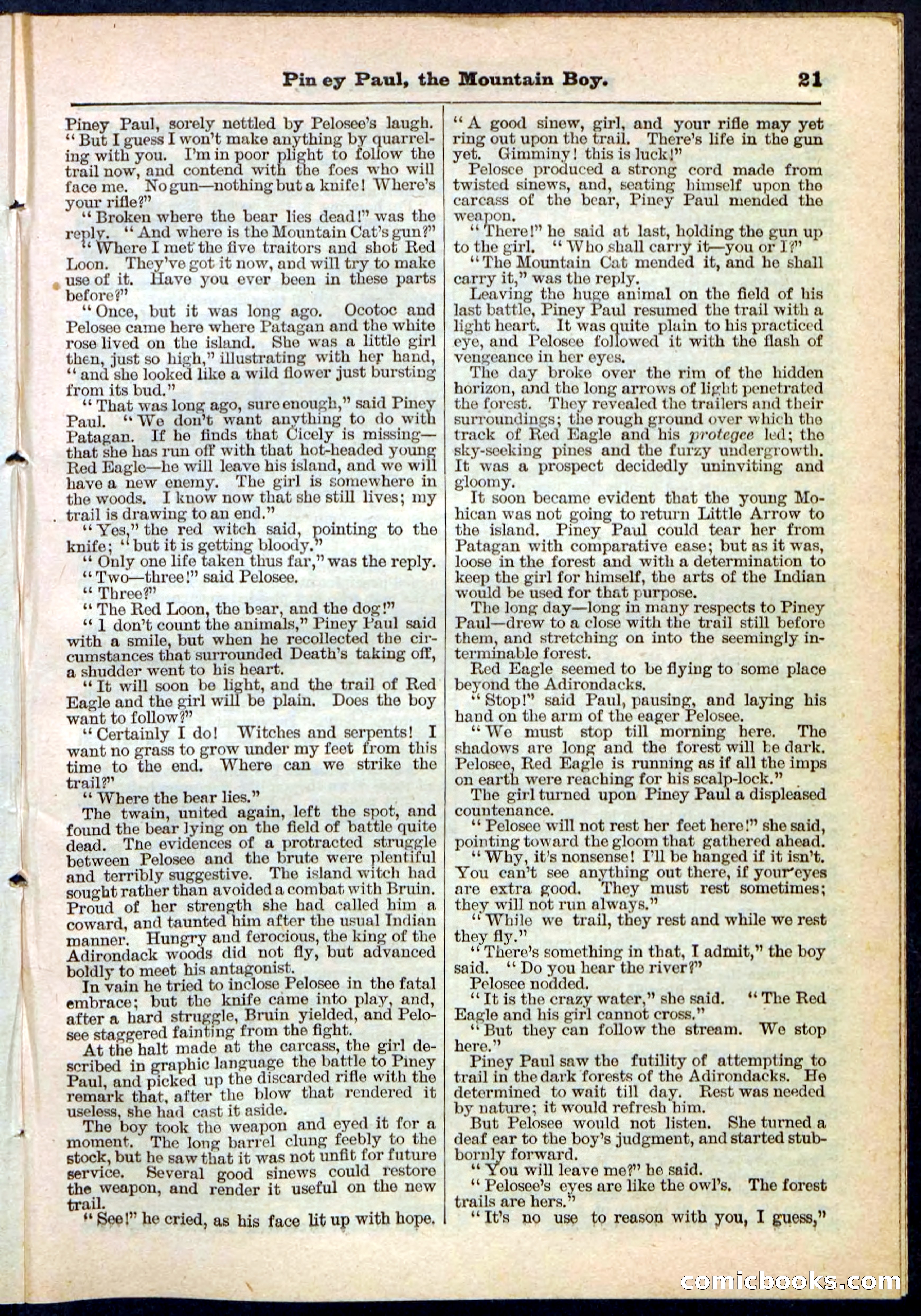 Beadle's Pocket Library No. 114 — page 21 of 32