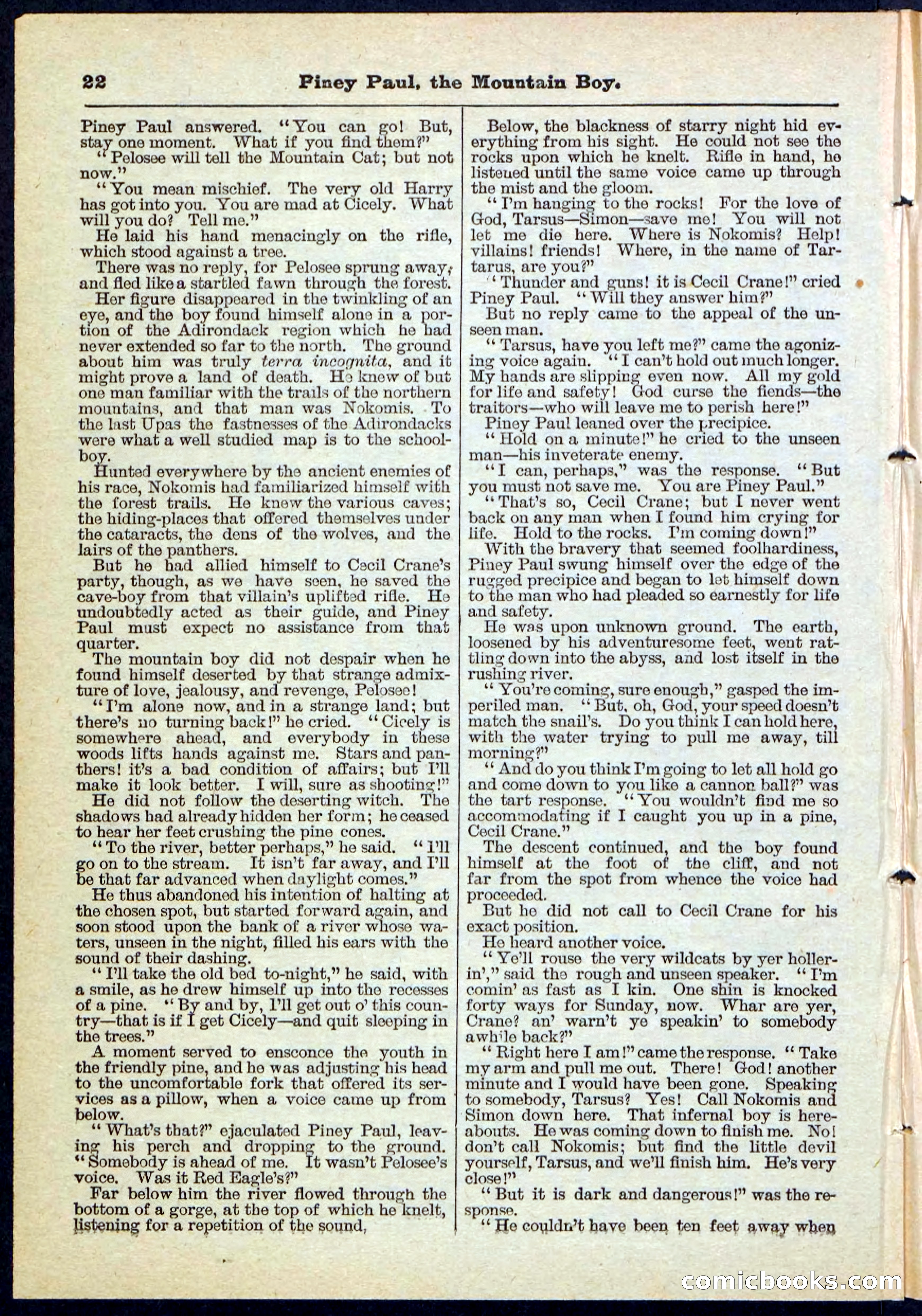 Beadle's Pocket Library No. 114 — page 22 of 32