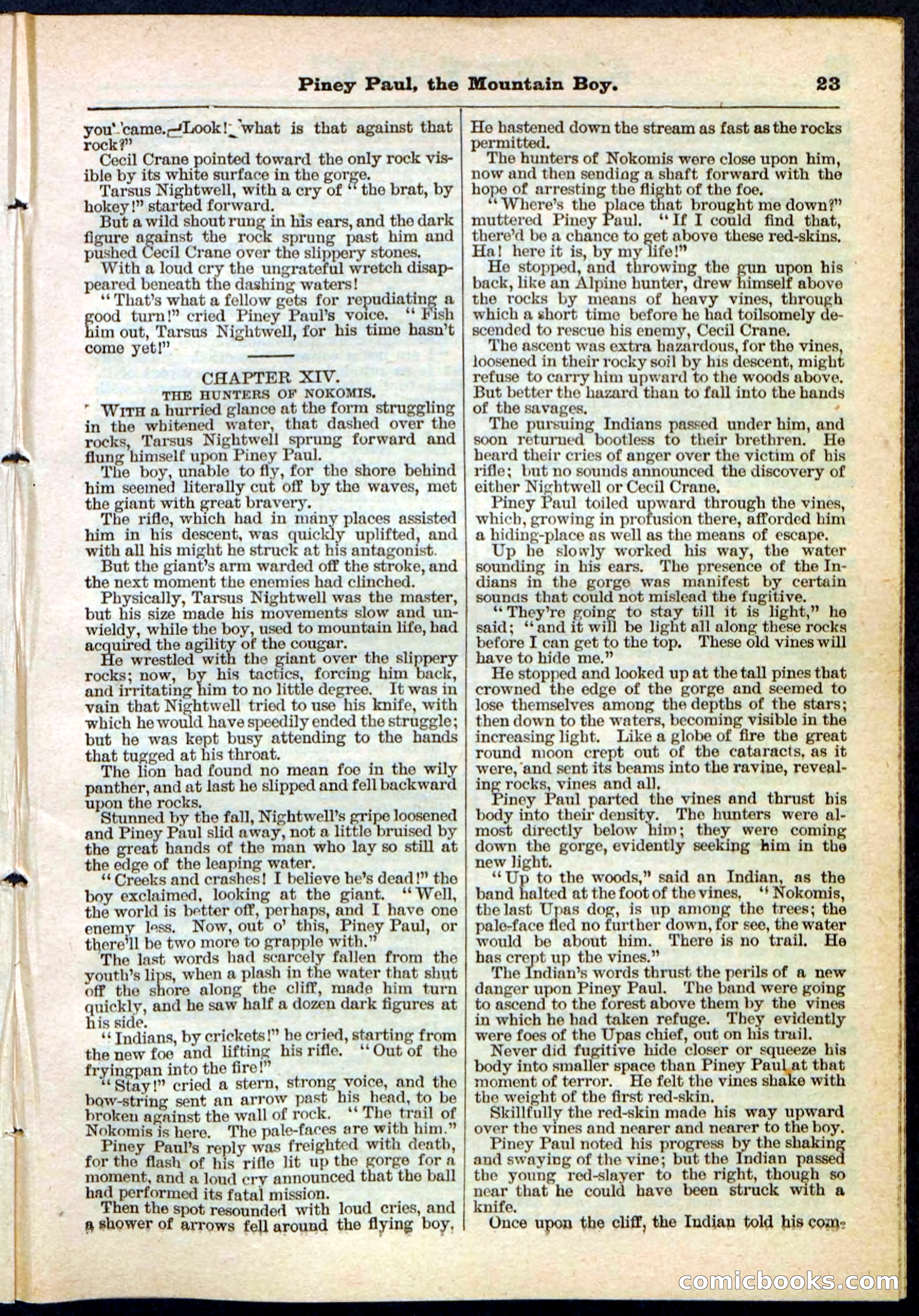 Beadle's Pocket Library No. 114 — page 23 of 32