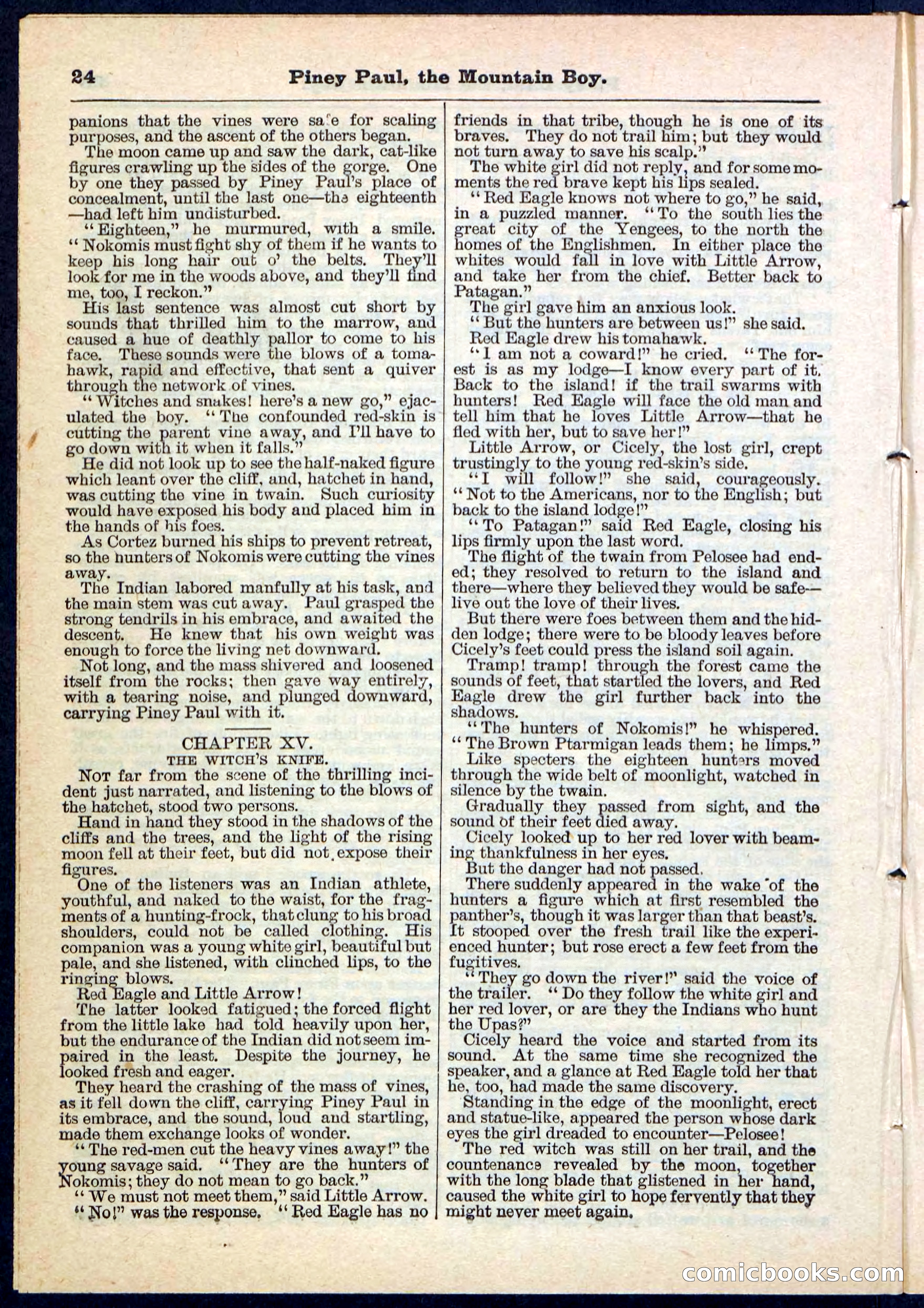 Beadle's Pocket Library No. 114 — page 24 of 32