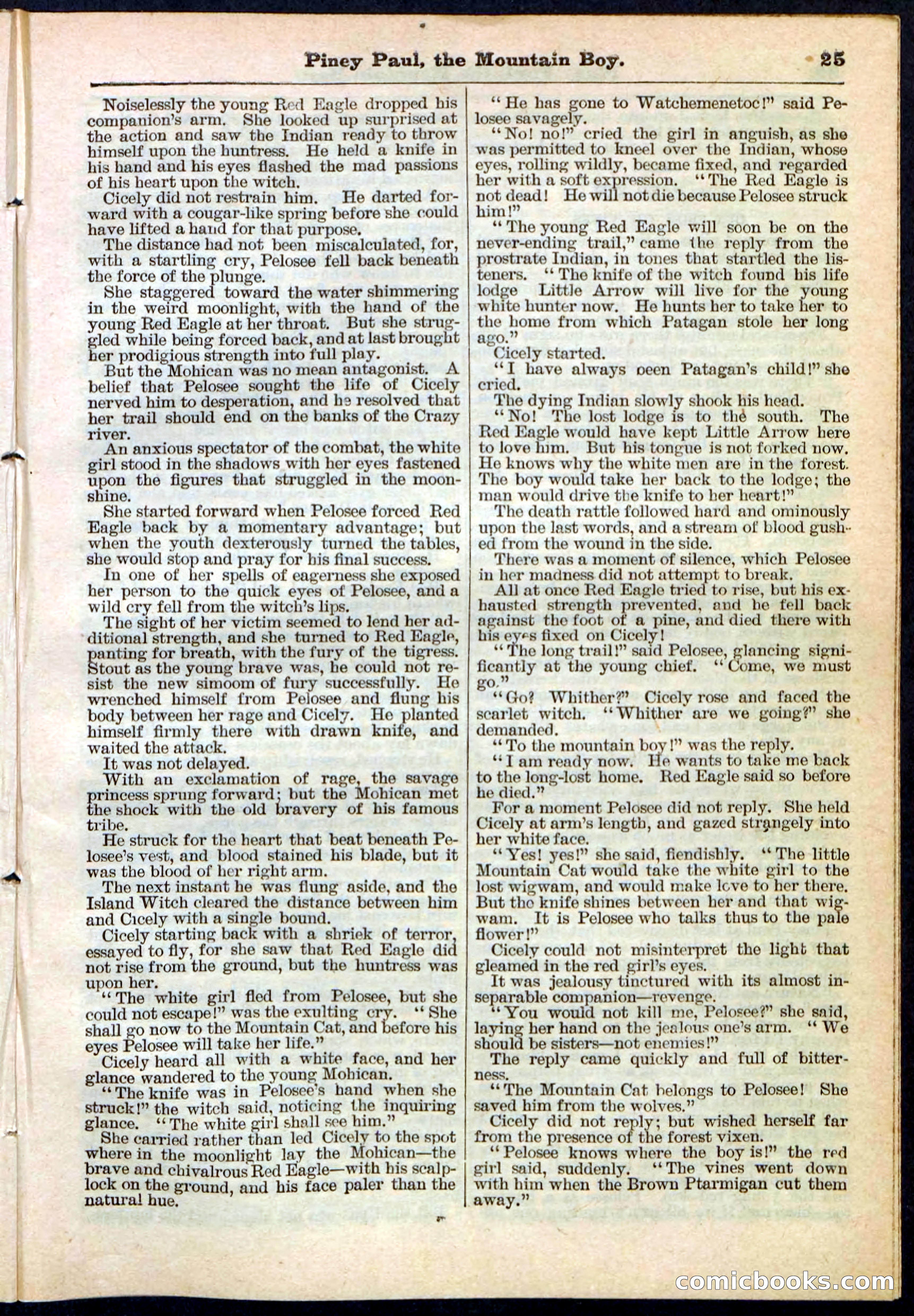Beadle's Pocket Library No. 114 — page 25 of 32