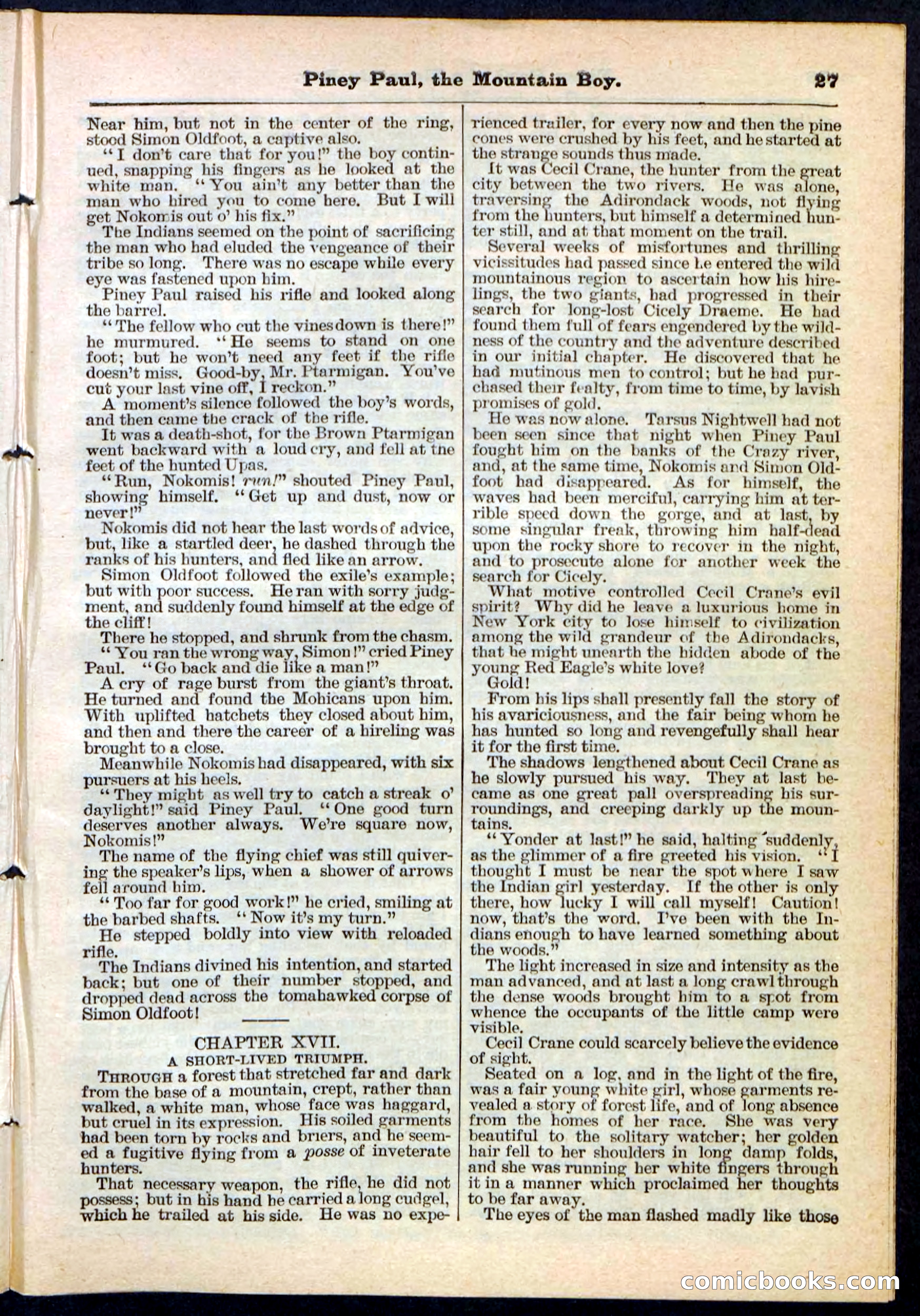 Beadle's Pocket Library No. 114 — page 27 of 32