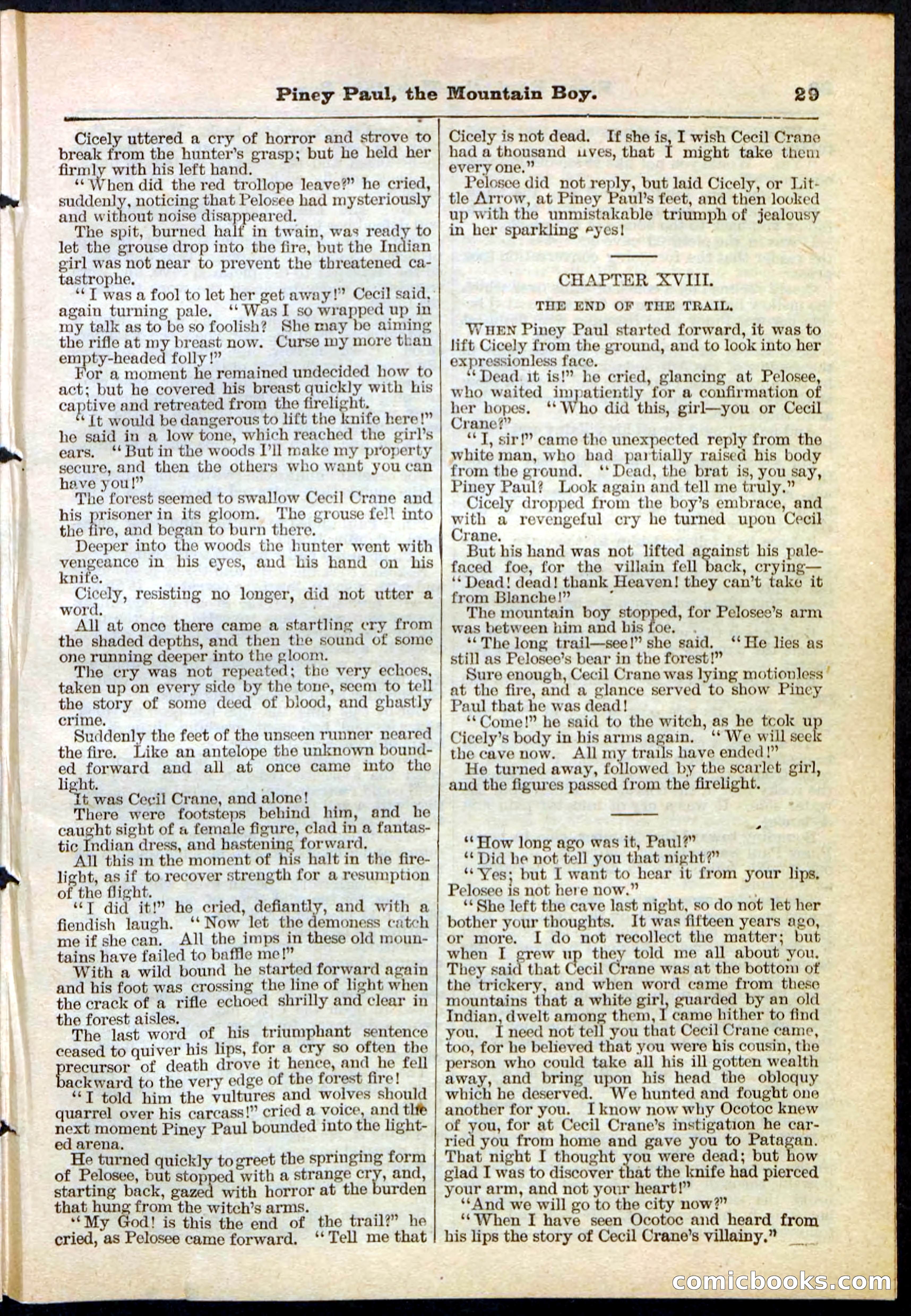 Beadle's Pocket Library No. 114 — page 29 of 32
