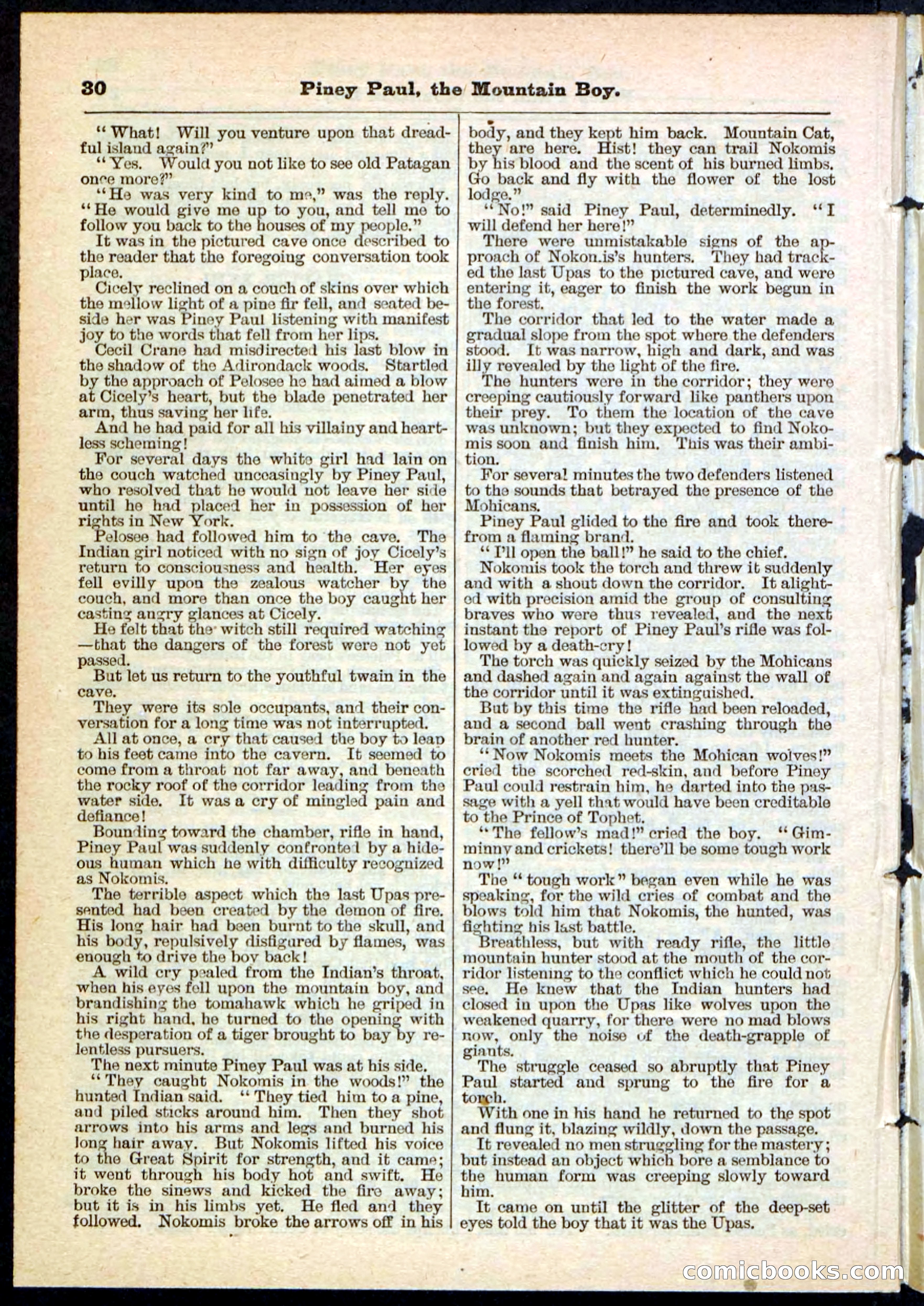 Beadle's Pocket Library No. 114 — page 30 of 32