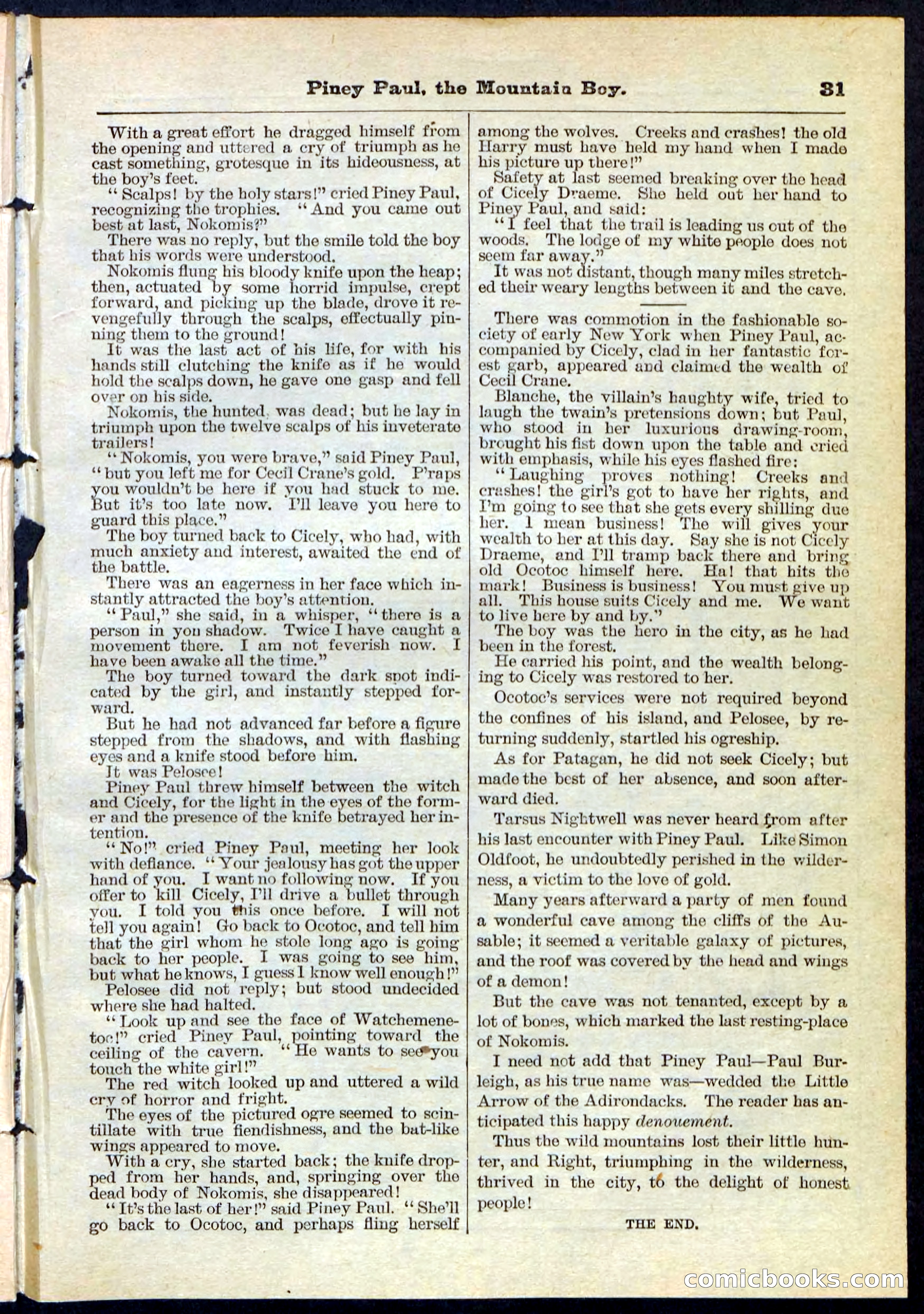 Beadle's Pocket Library No. 114 — page 31 of 32