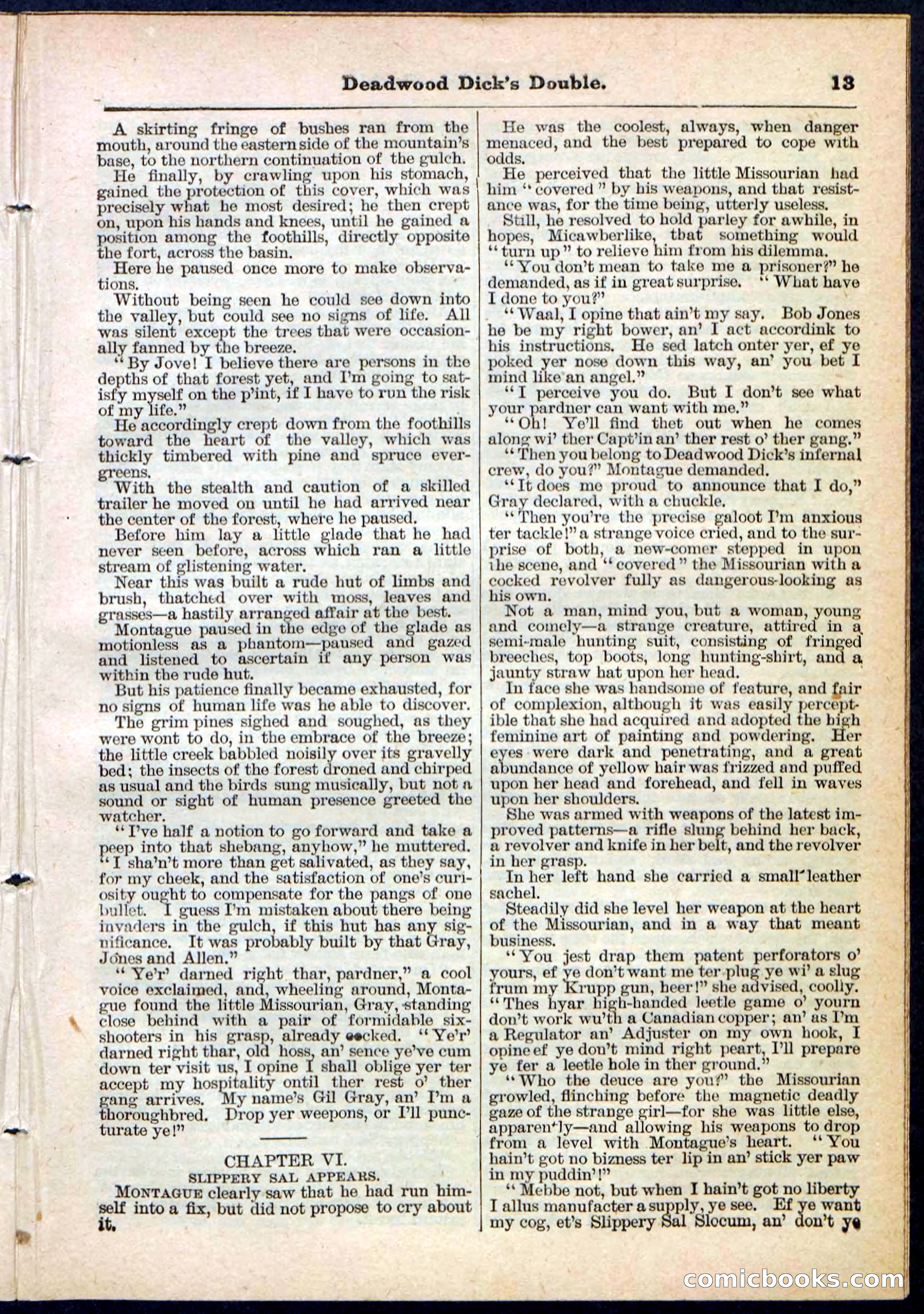 Beadle's Pocket Library No. 115 — page 13 of 32