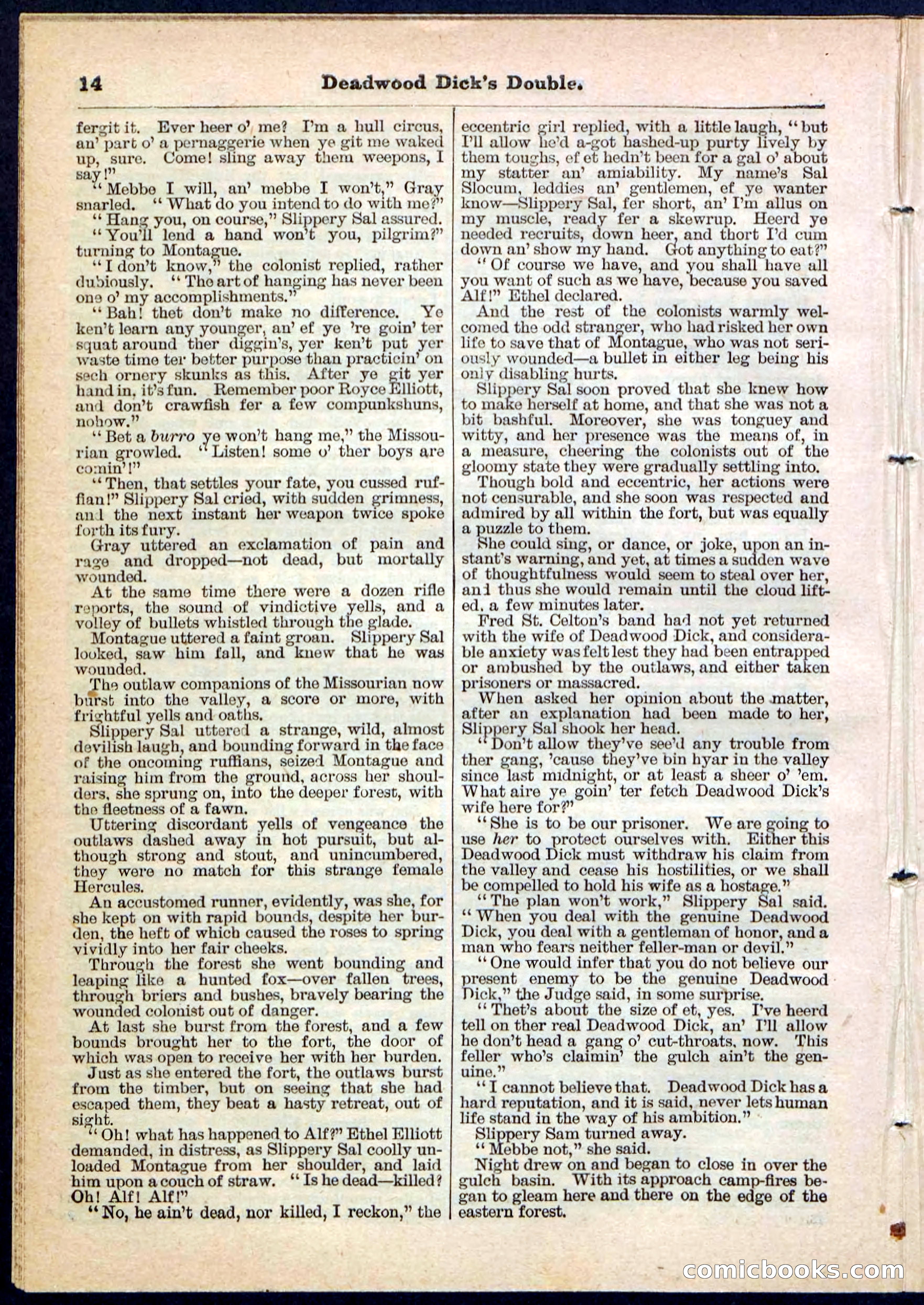 Beadle's Pocket Library No. 115 — page 14 of 32