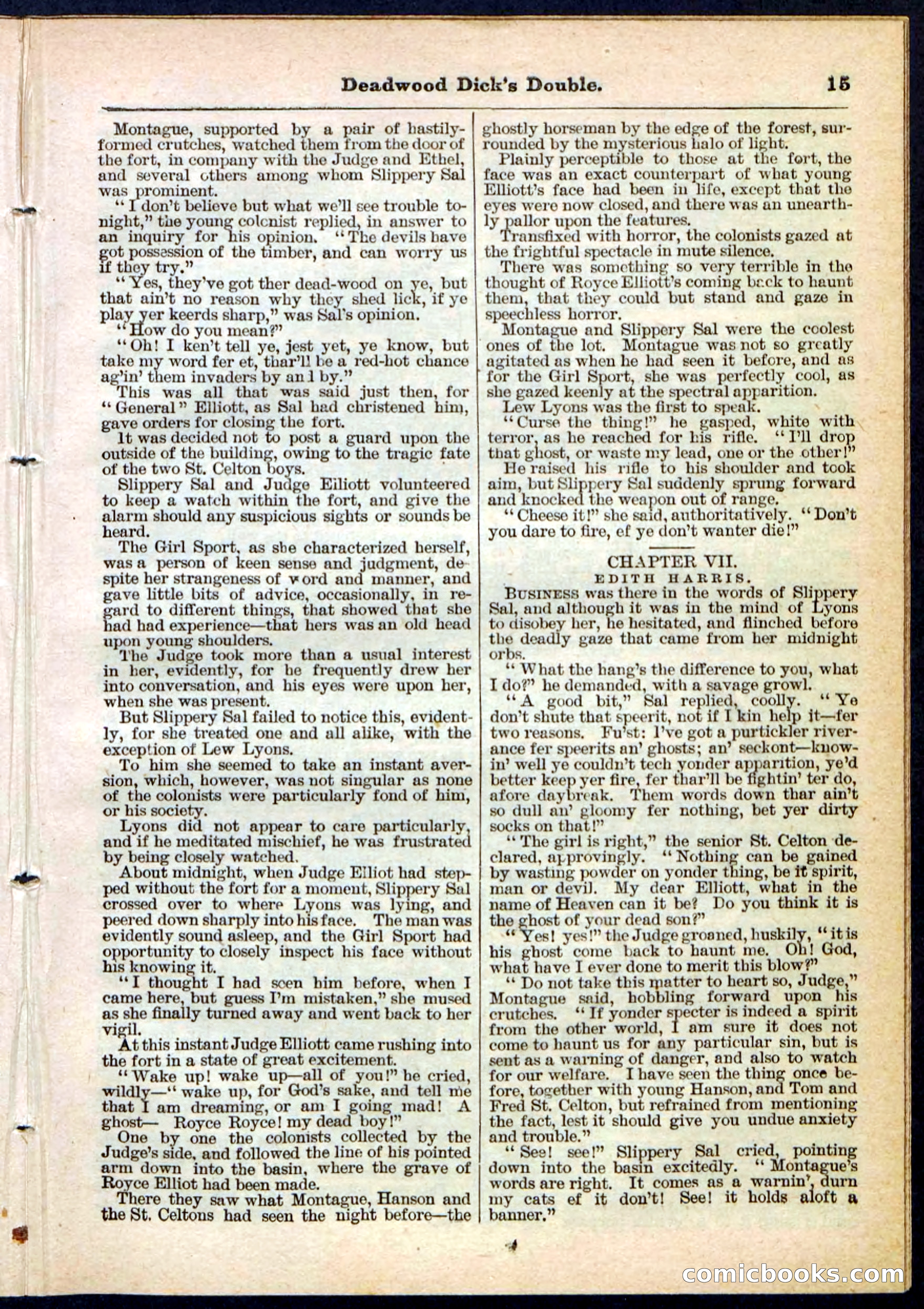 Beadle's Pocket Library No. 115 — page 15 of 32