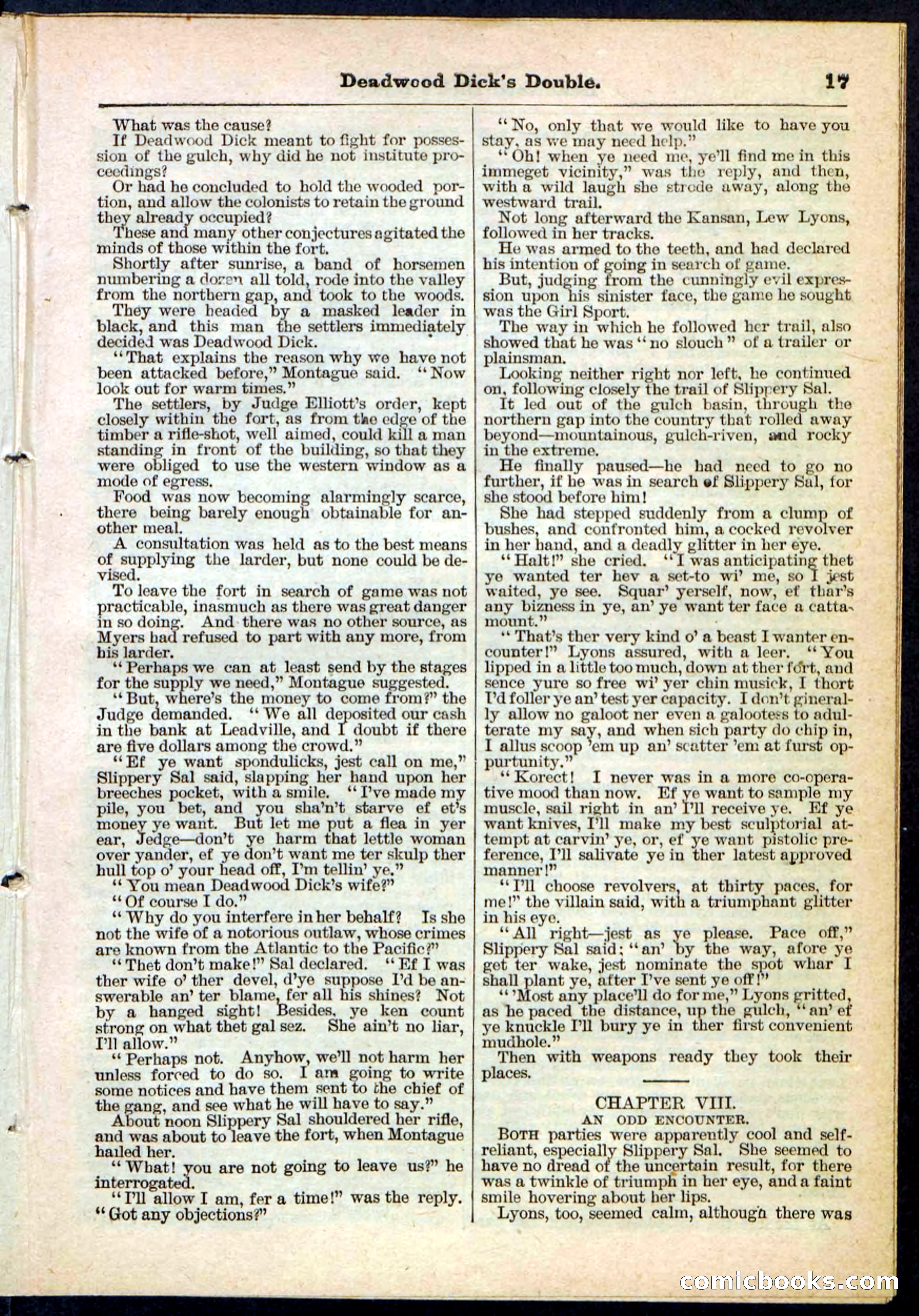 Beadle's Pocket Library No. 115 — page 17 of 32