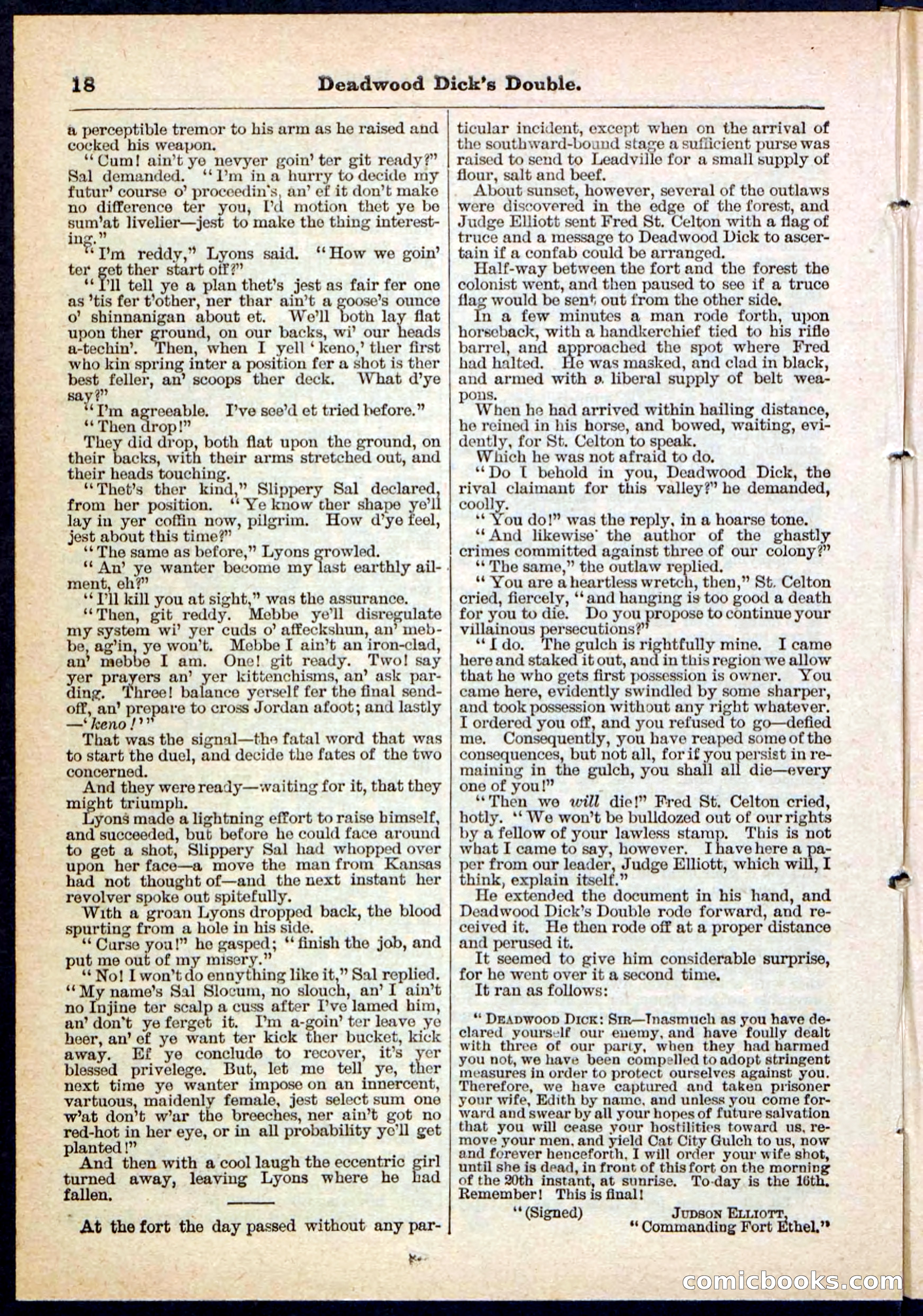 Beadle's Pocket Library No. 115 — page 18 of 32