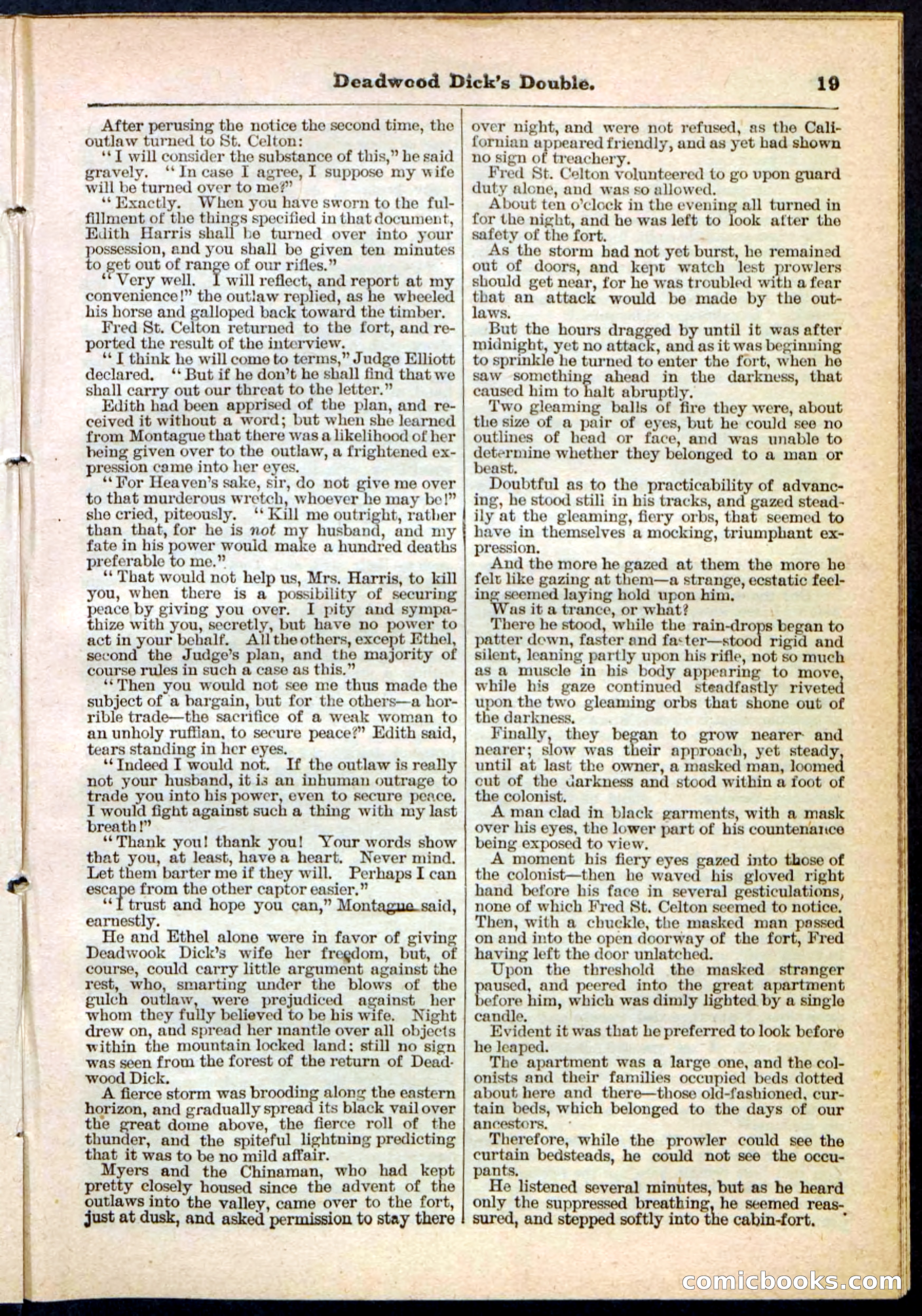 Beadle's Pocket Library No. 115 — page 19 of 32