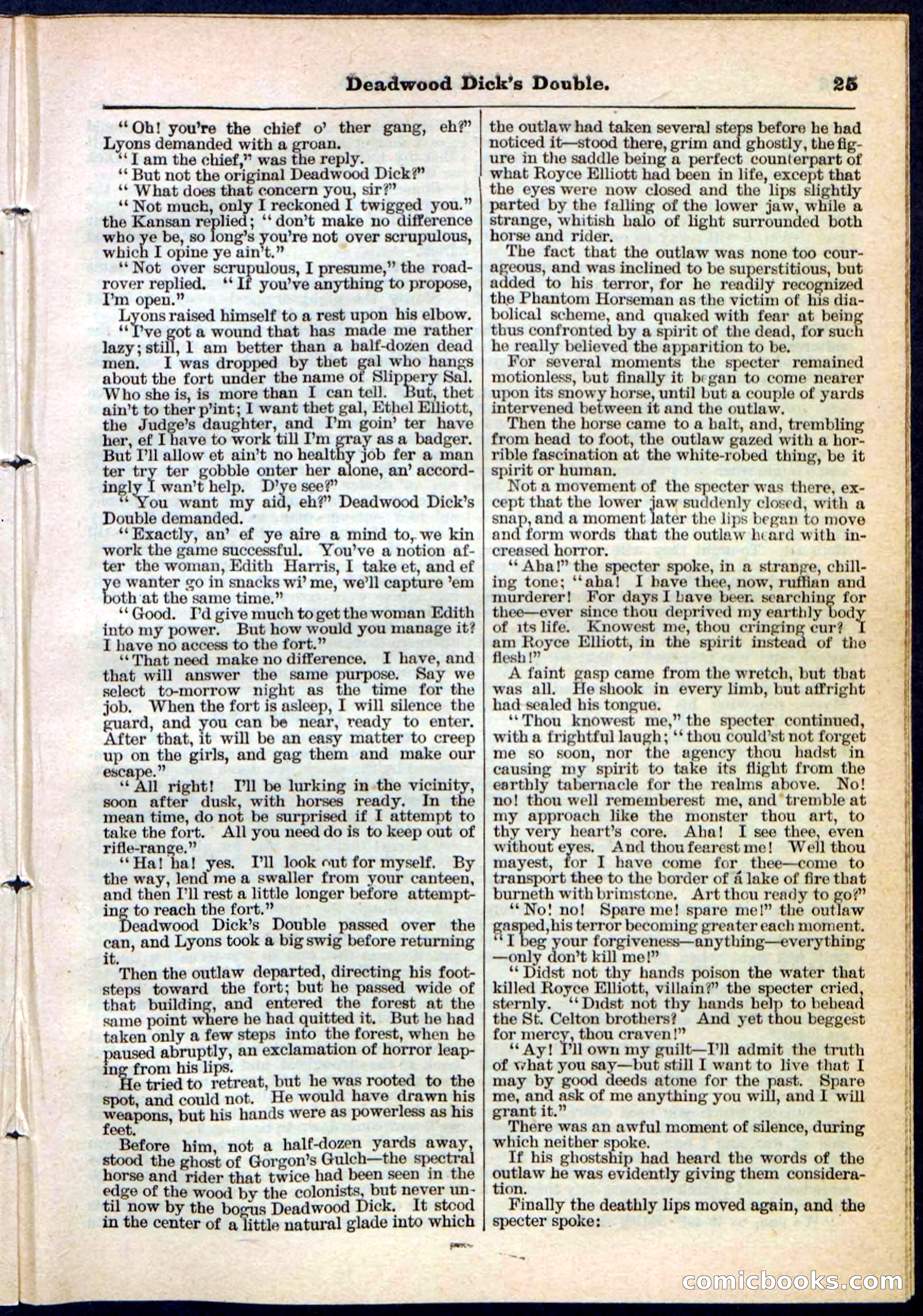 Beadle's Pocket Library No. 115 — page 25 of 32