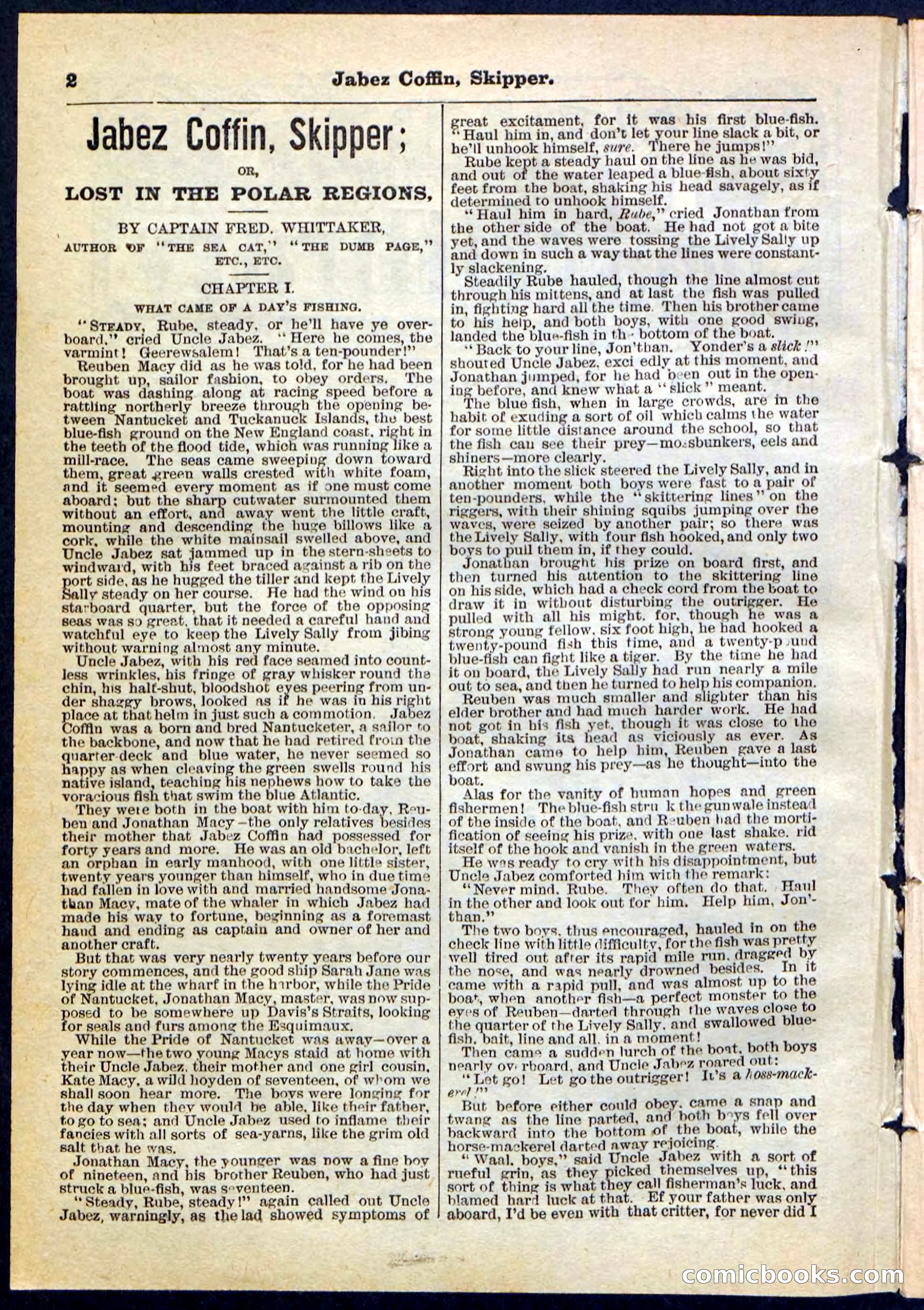 Beadle's Pocket Library No. 116 — page 2 of 32