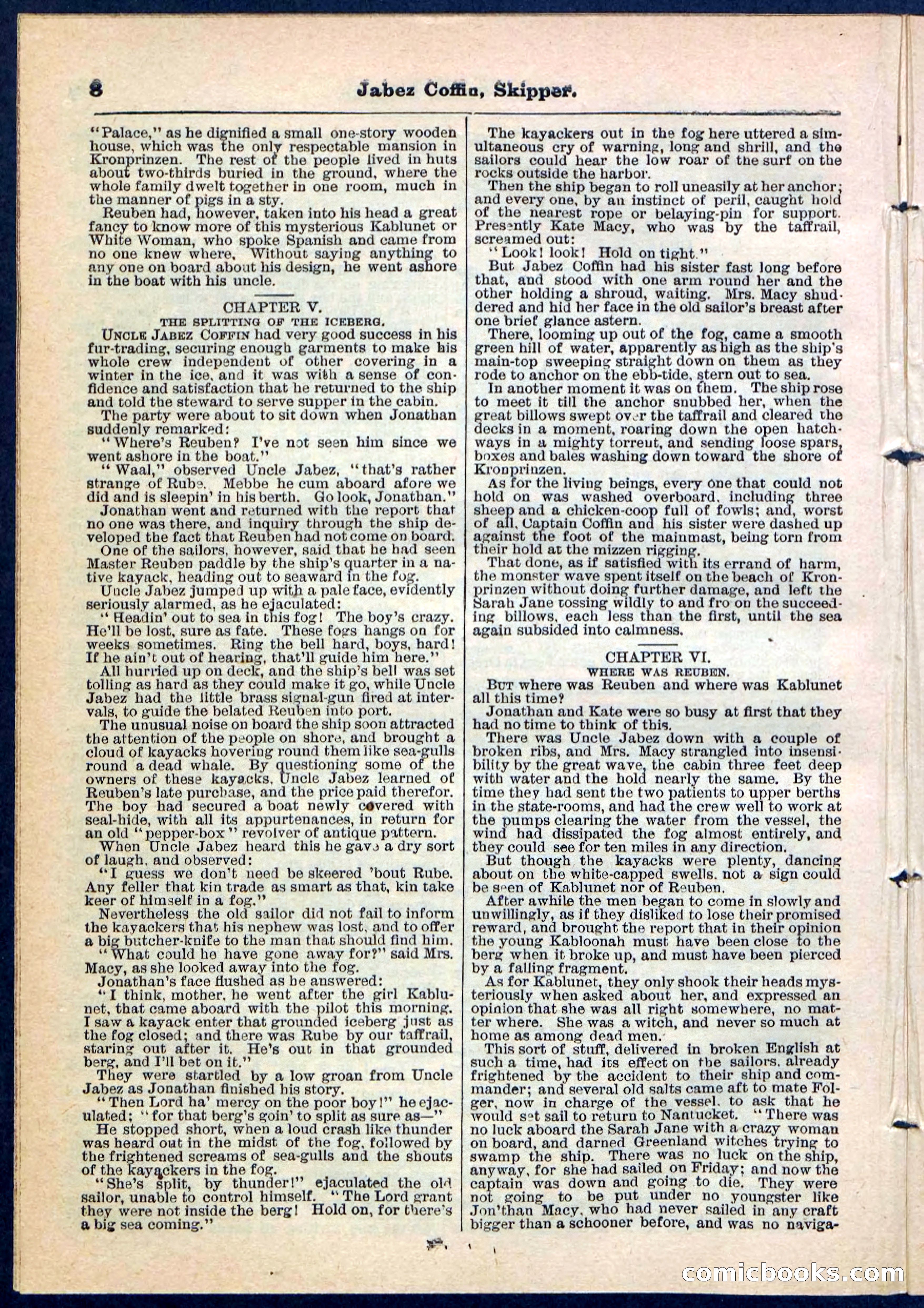 Beadle's Pocket Library No. 116 — page 8 of 32