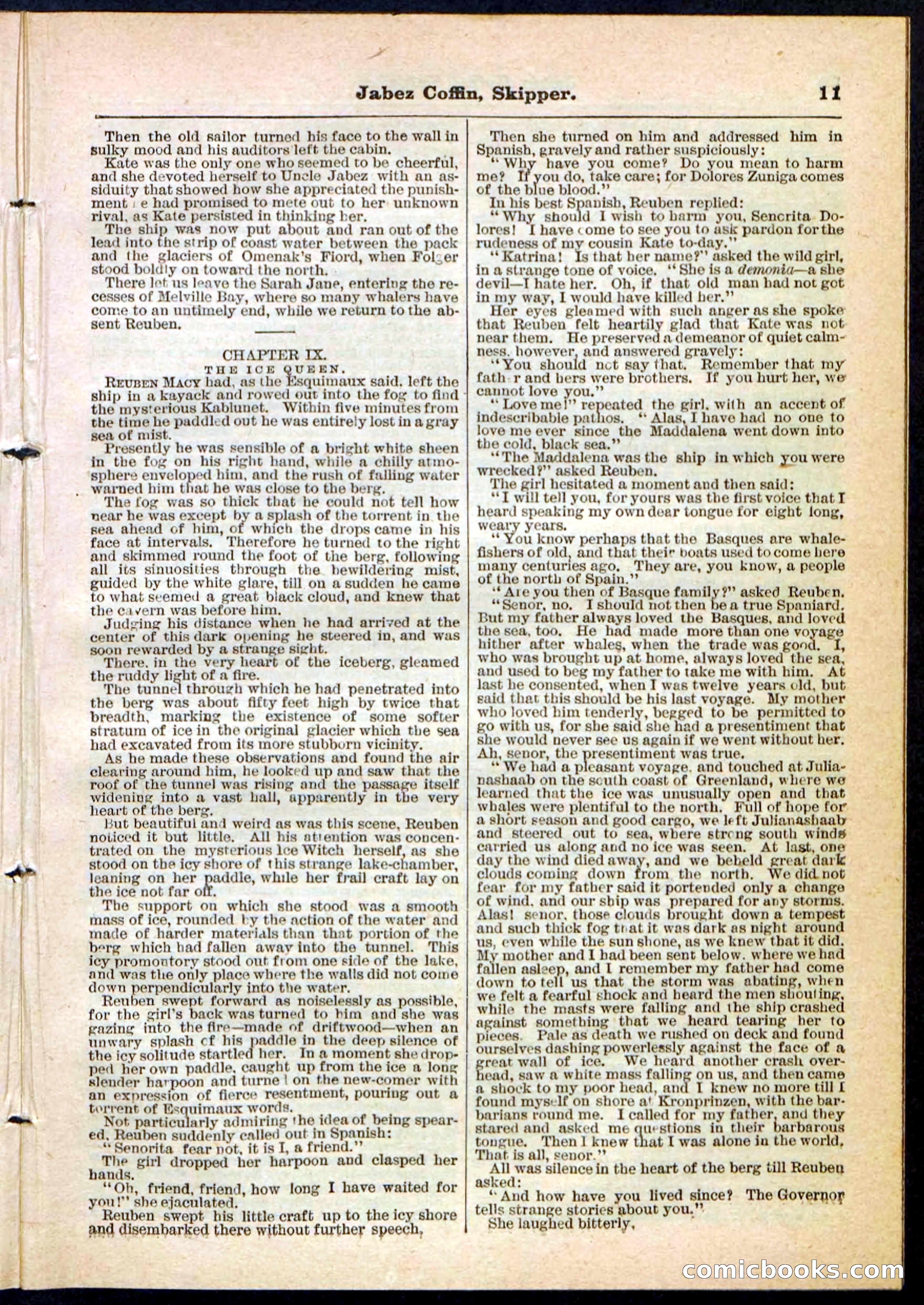 Beadle's Pocket Library No. 116 — page 11 of 32