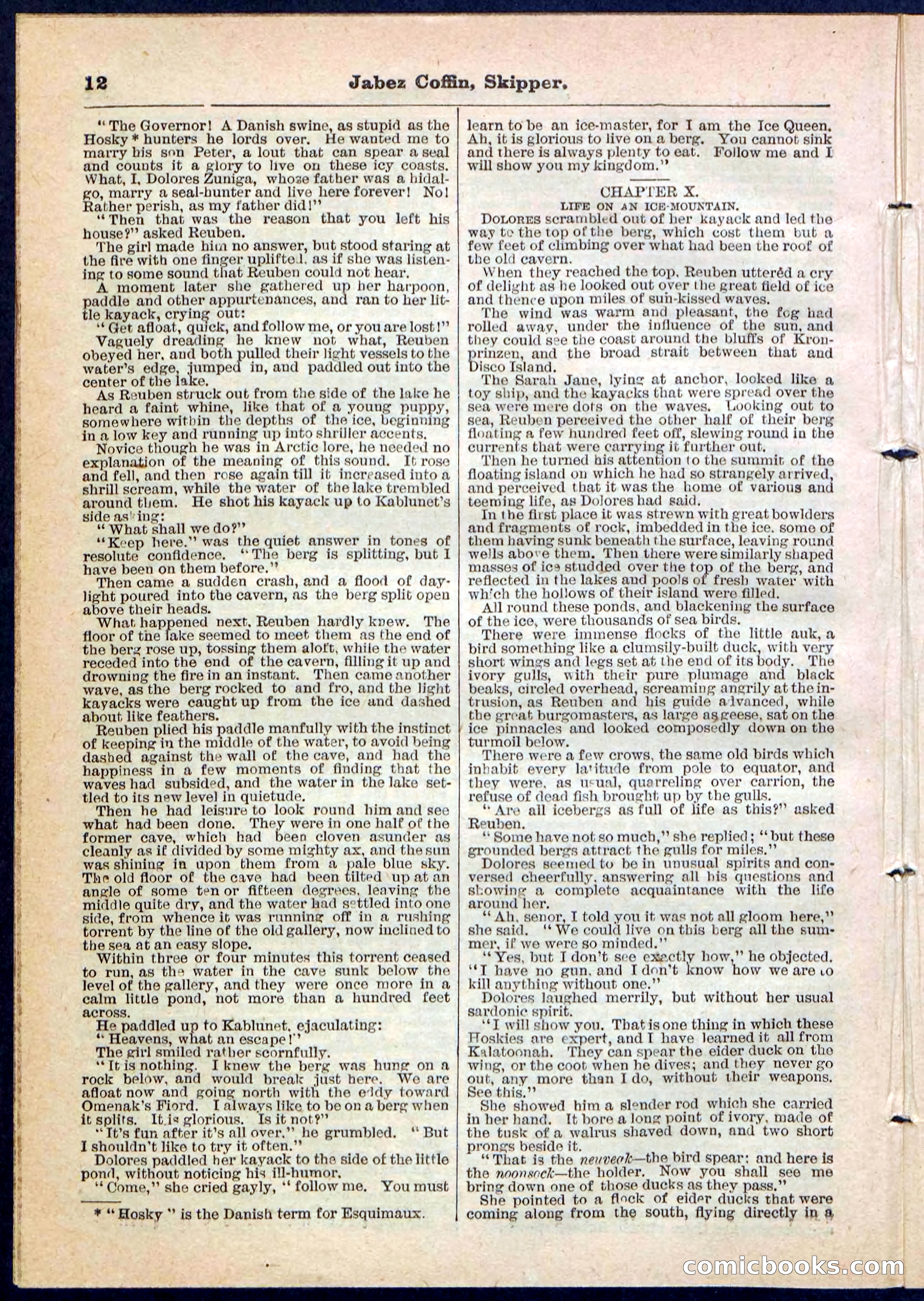 Beadle's Pocket Library No. 116 — page 12 of 32