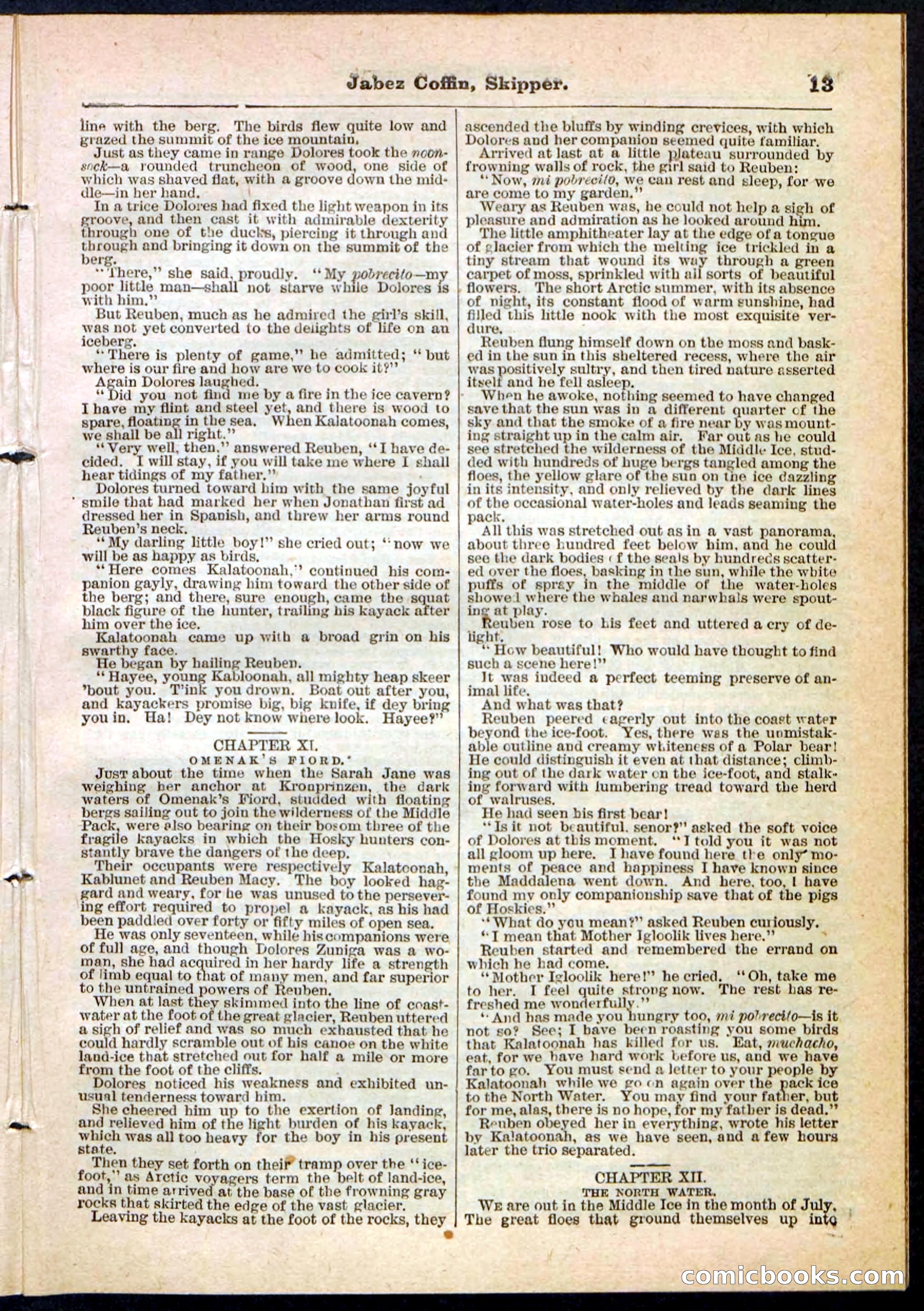 Beadle's Pocket Library No. 116 — page 13 of 32