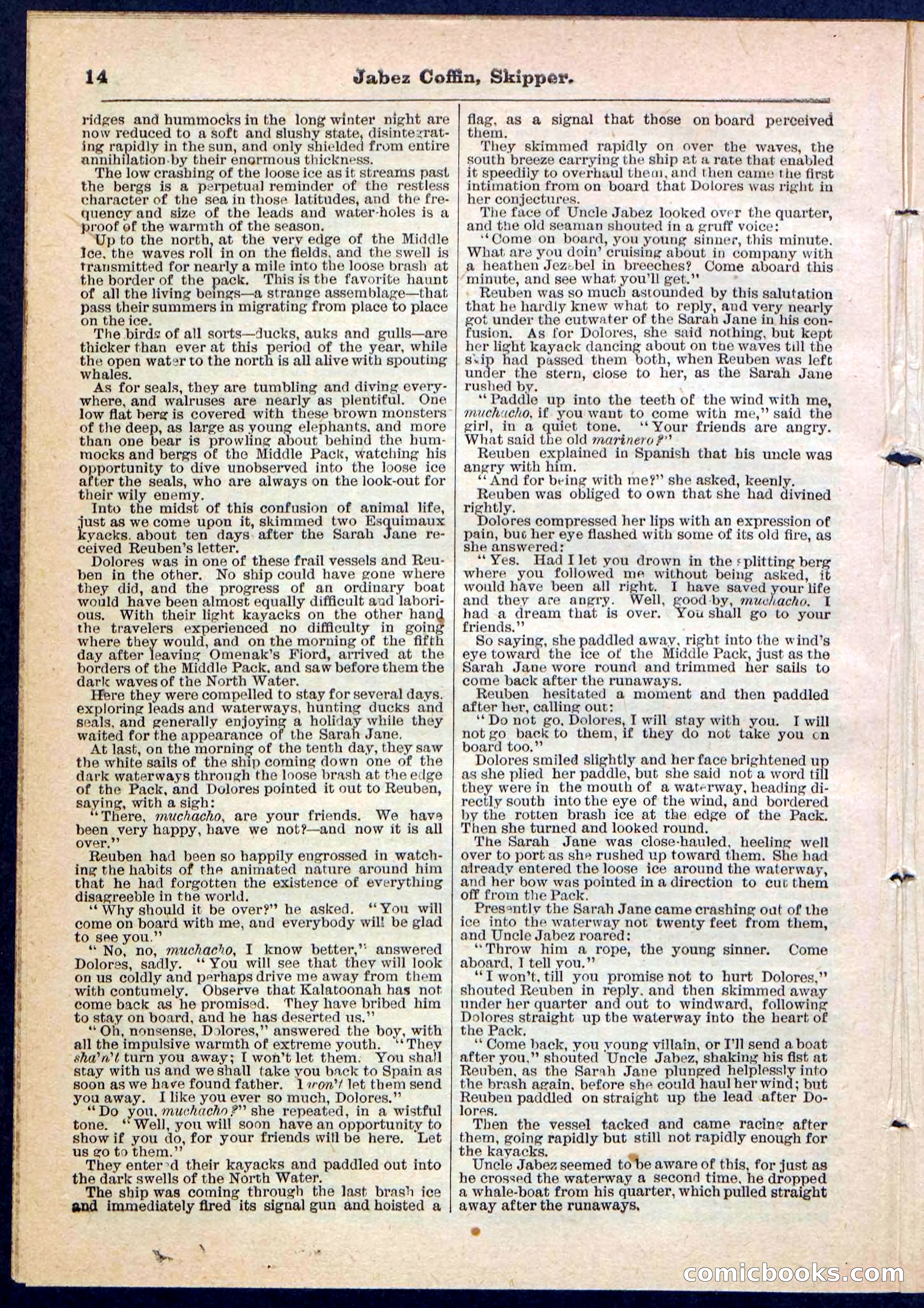 Beadle's Pocket Library No. 116 — page 14 of 32