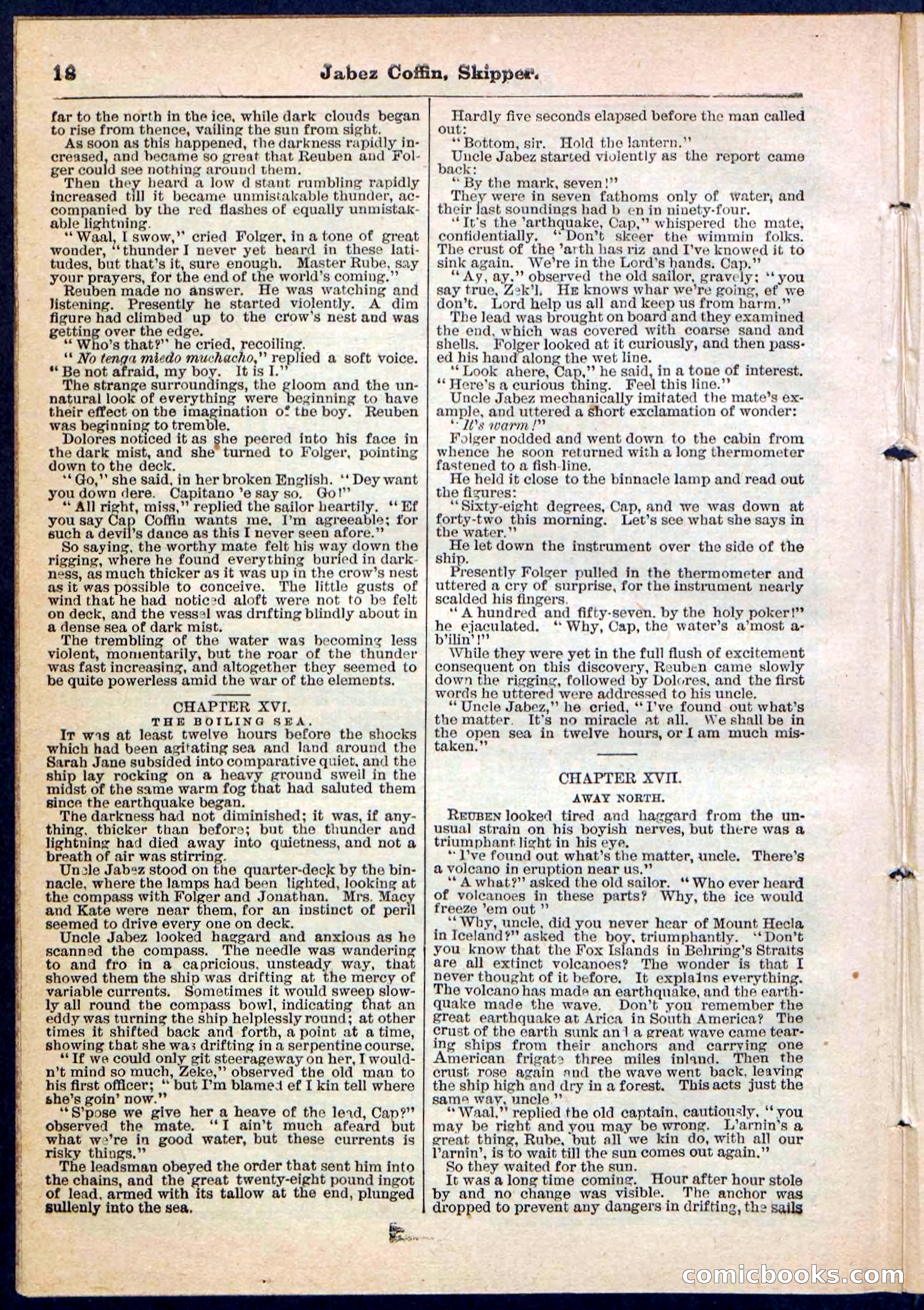 Beadle's Pocket Library No. 116 — page 18 of 32