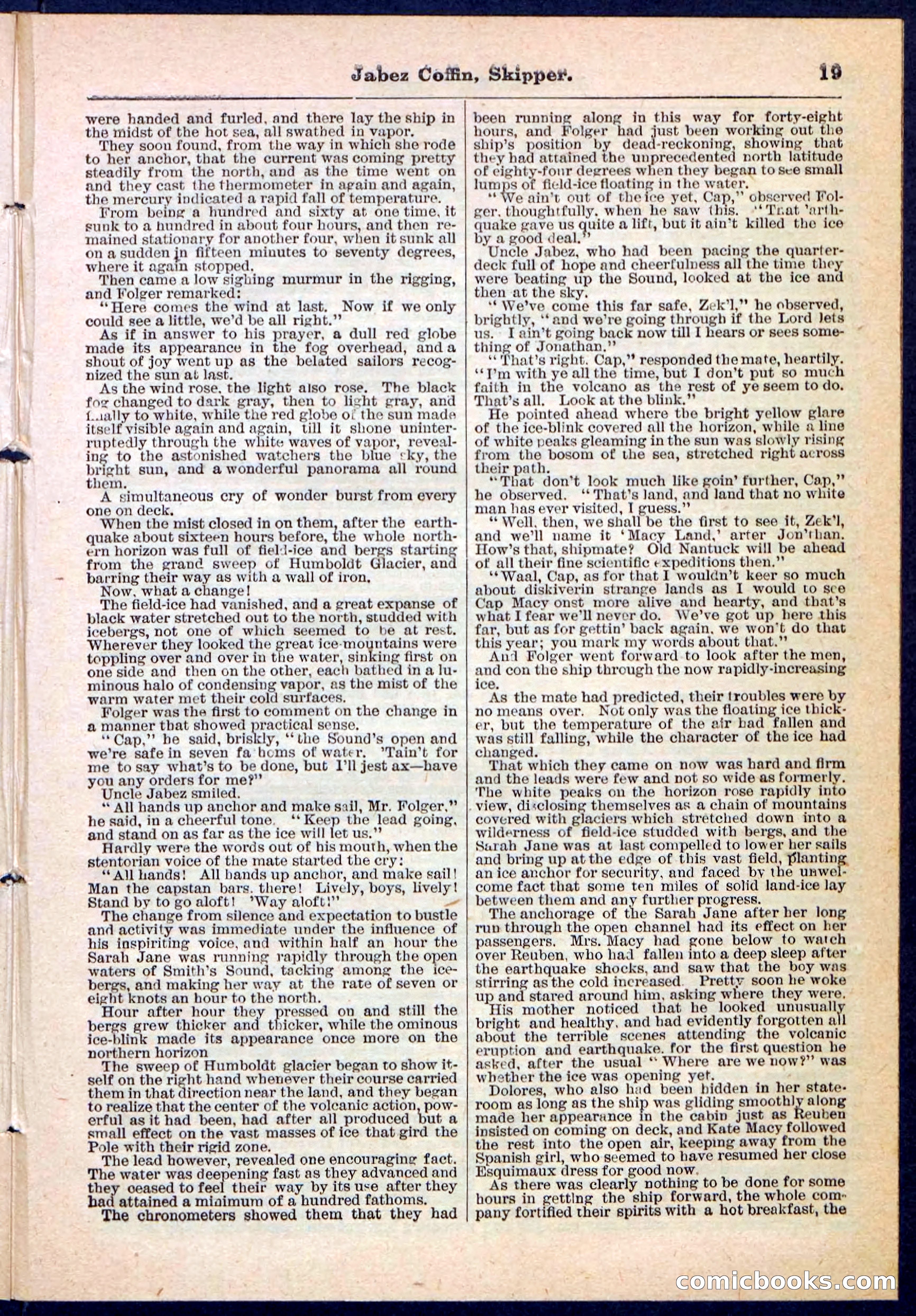 Beadle's Pocket Library No. 116 — page 19 of 32