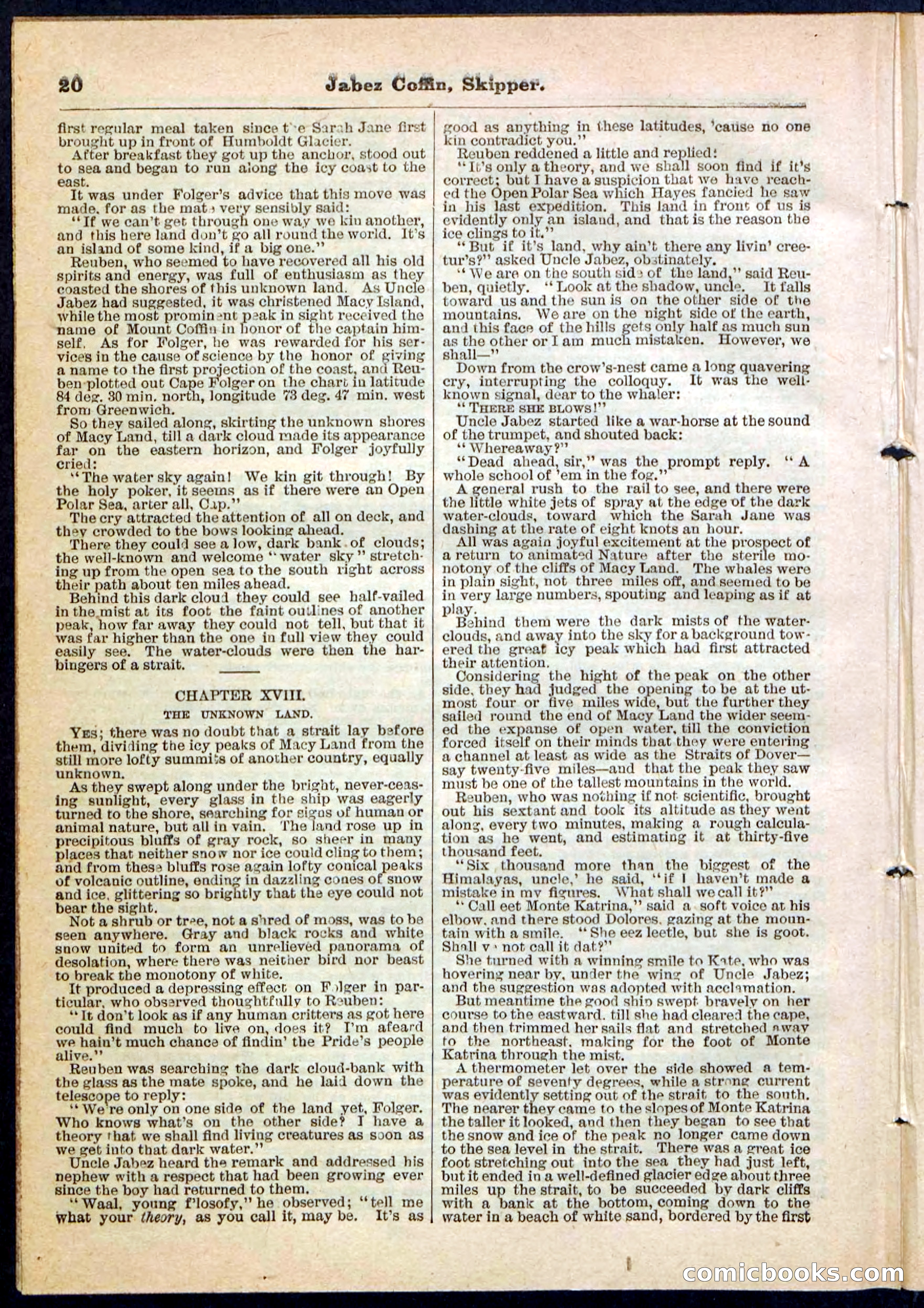 Beadle's Pocket Library No. 116 — page 20 of 32