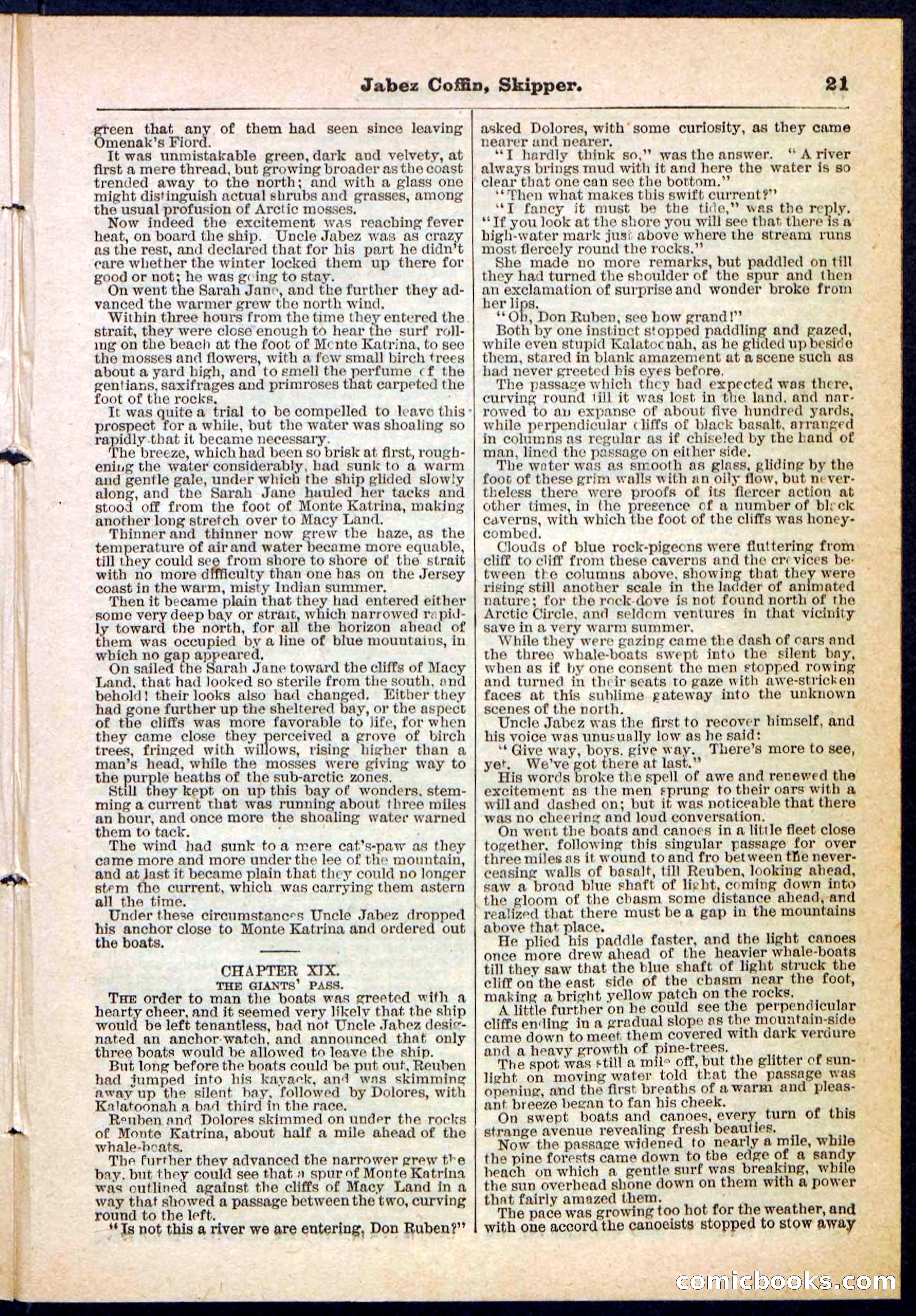 Beadle's Pocket Library No. 116 — page 21 of 32