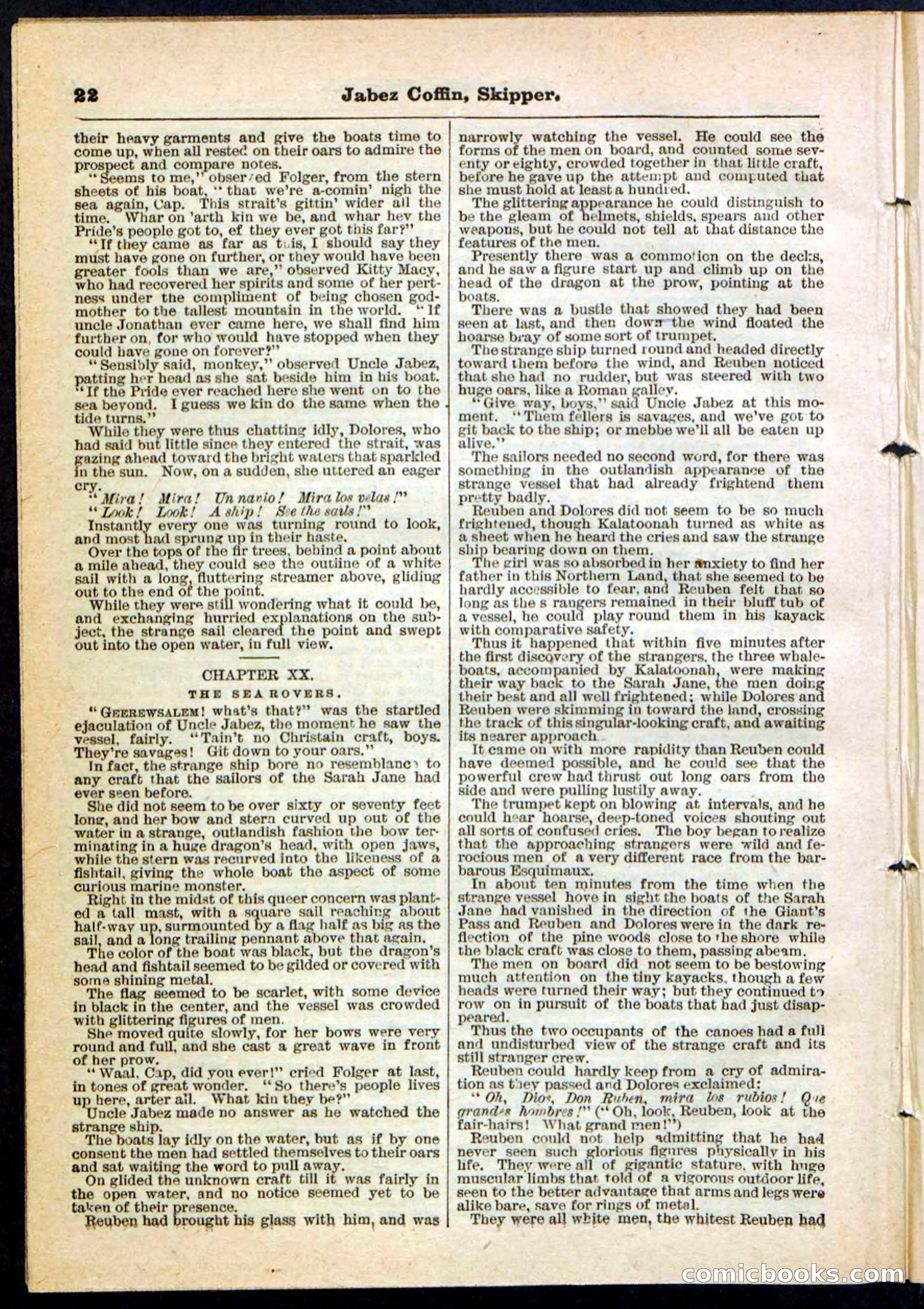 Beadle's Pocket Library No. 116 — page 22 of 32