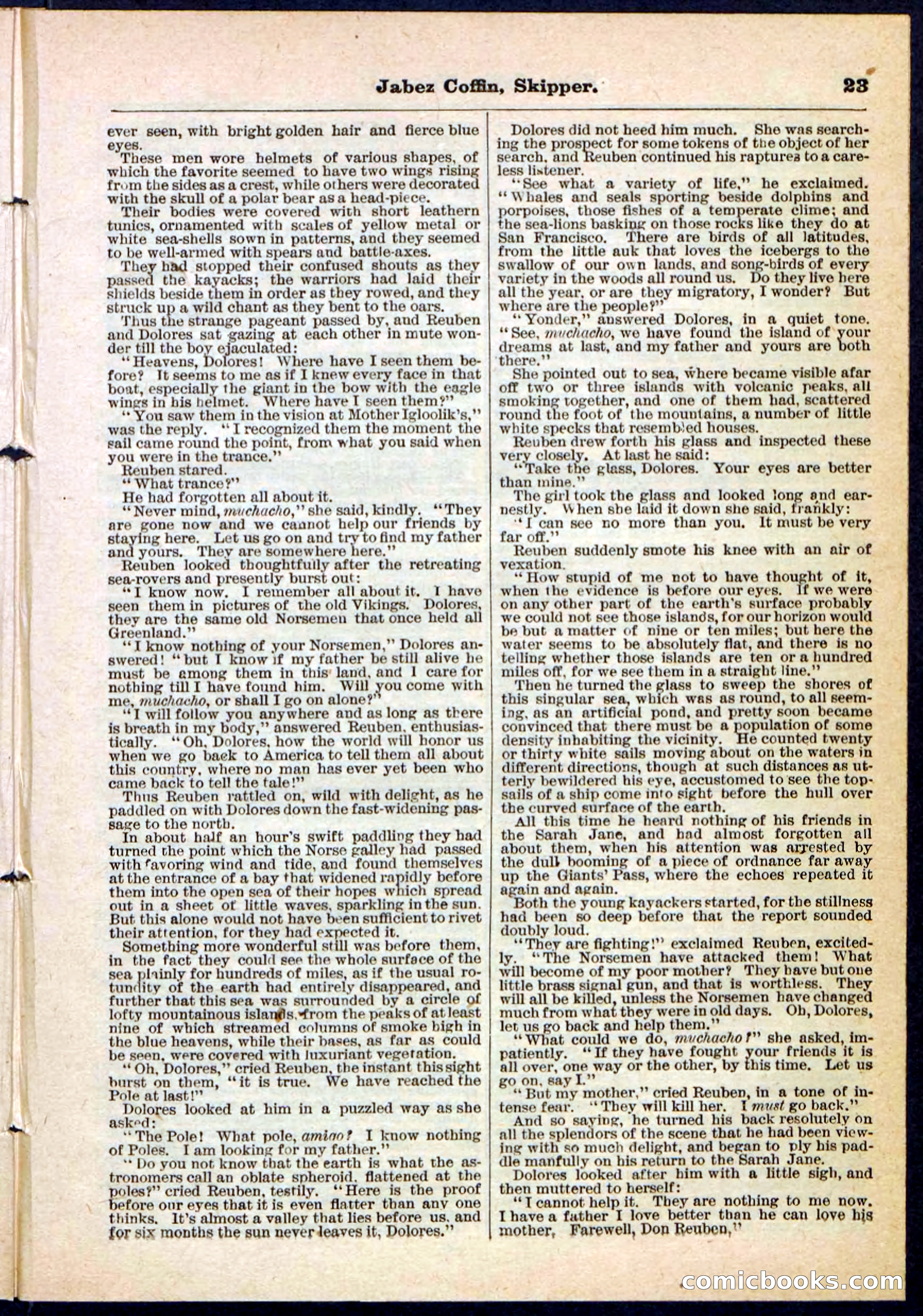 Beadle's Pocket Library No. 116 — page 23 of 32