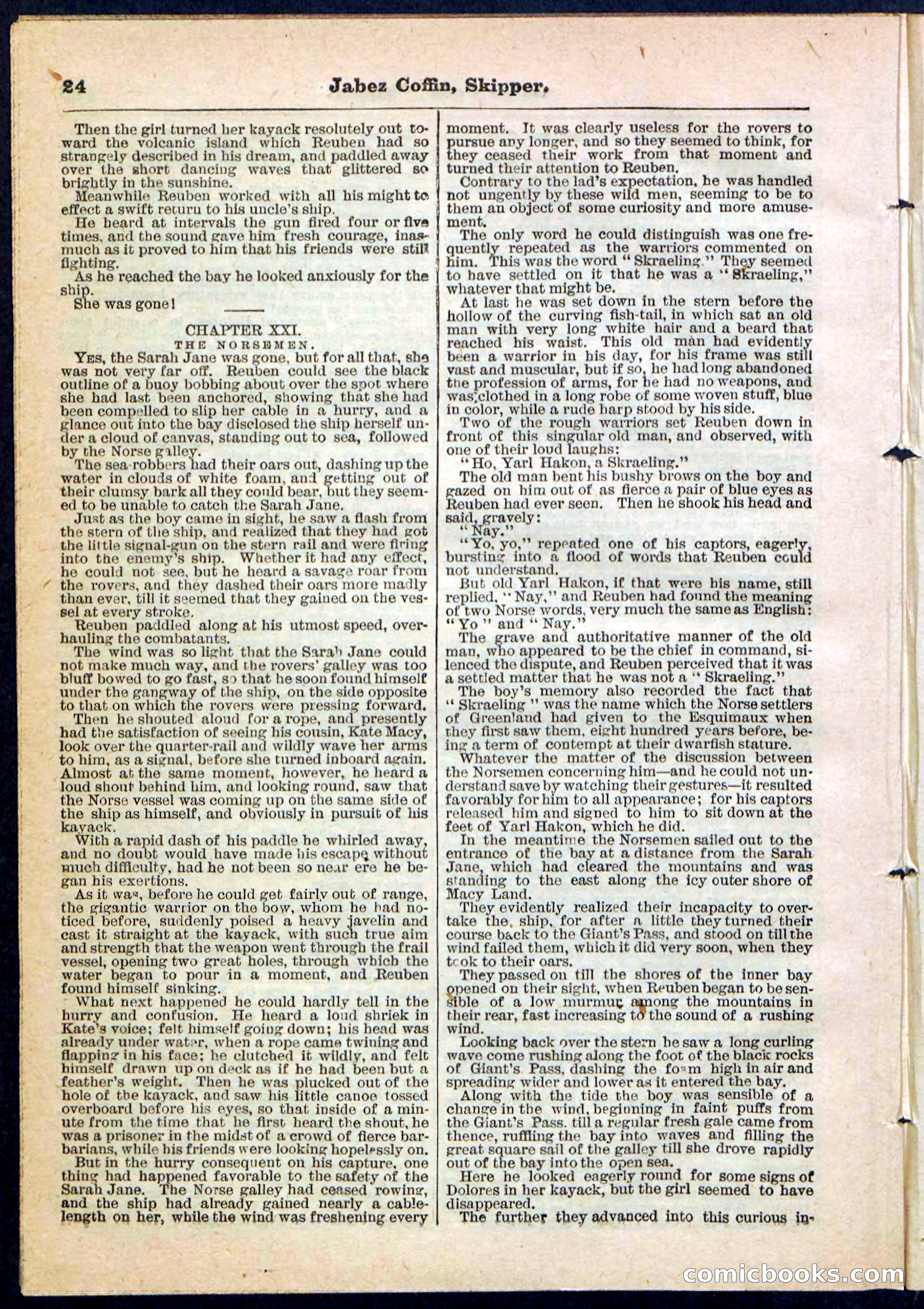 Beadle's Pocket Library No. 116 — page 24 of 32