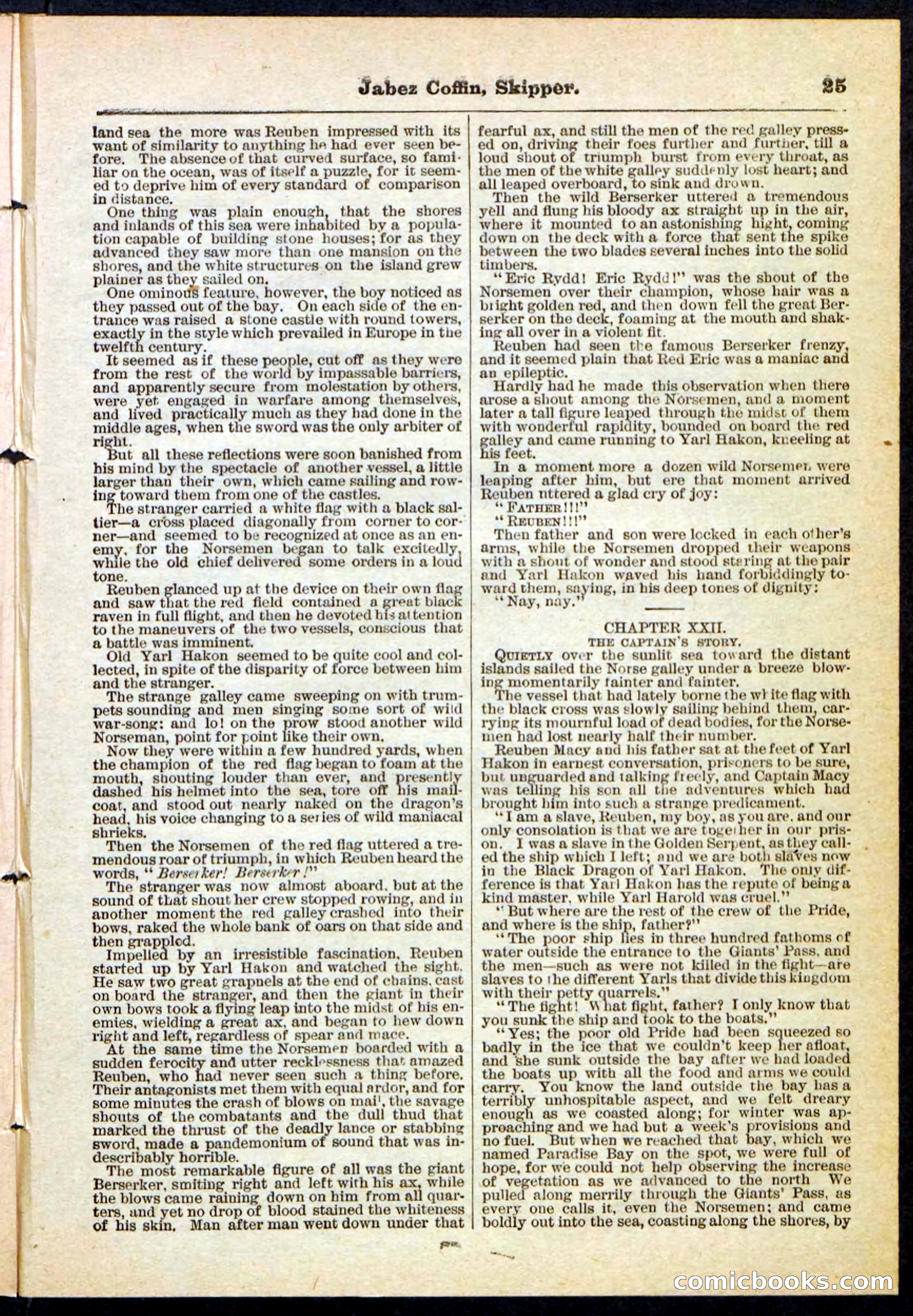 Beadle's Pocket Library No. 116 — page 25 of 32
